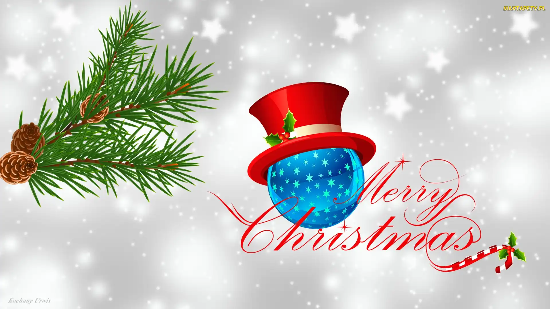 Szyszki, Świerku, Napis, Boże Narodzenie, Gałązka, Grafika 2D, Merry Christmas