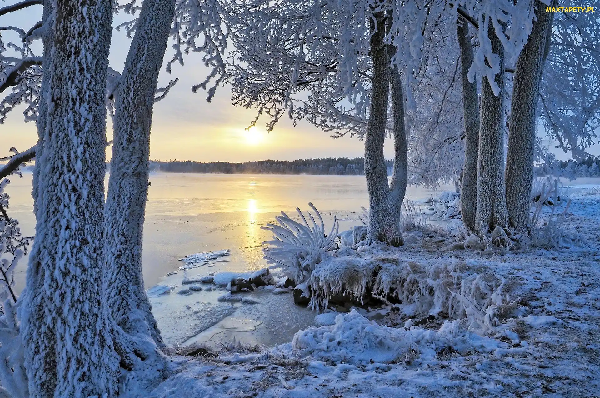 Region Etelä-Savo, Zima, Finlandia, Jezioro, Drzewa, Miasto Savonlinna, Wschód słońca, Ośnieżone