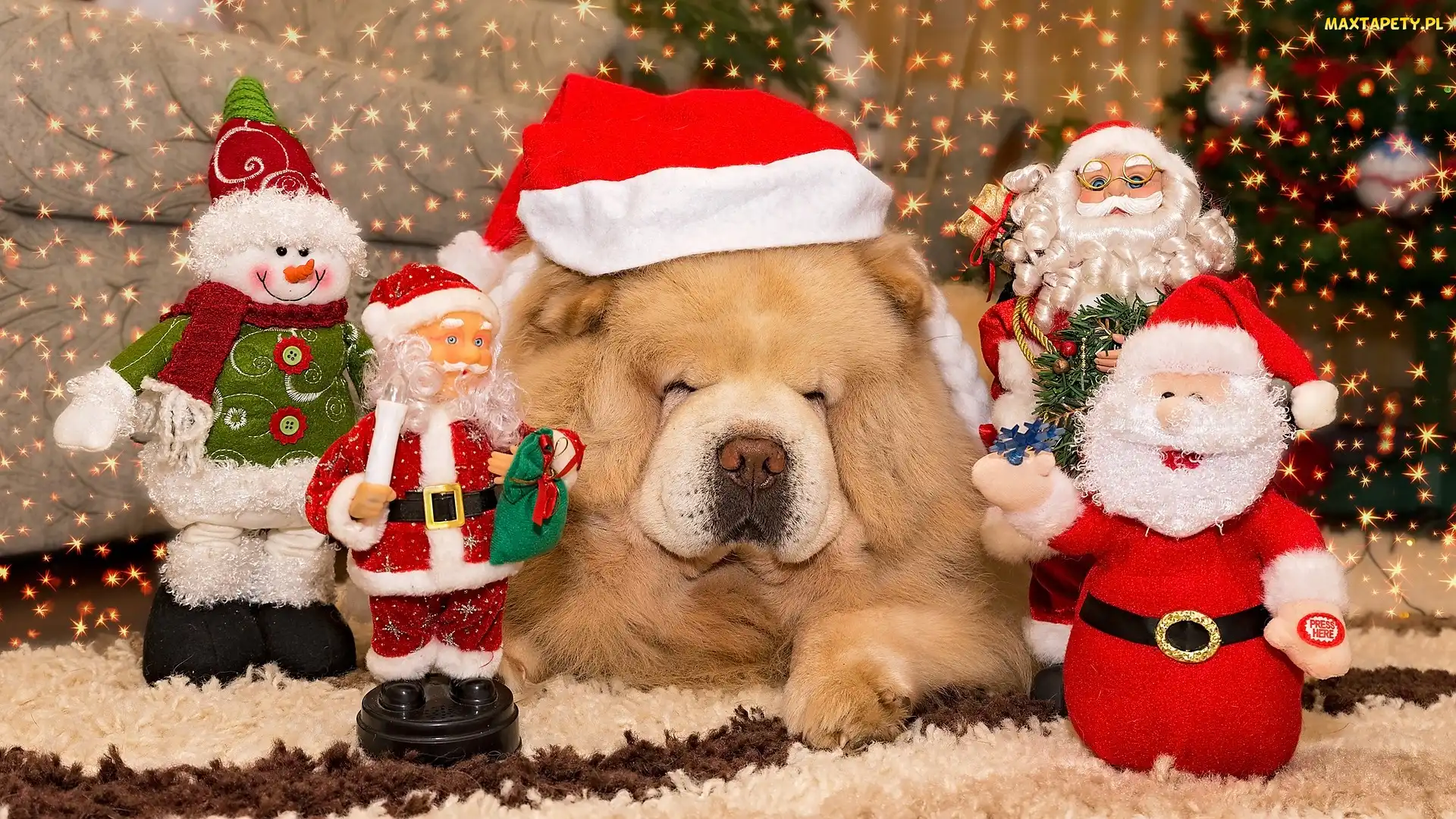 Figurki, Dekoracje, Chow chow, Mikołaje, Mikołaja, Pies, Czapka