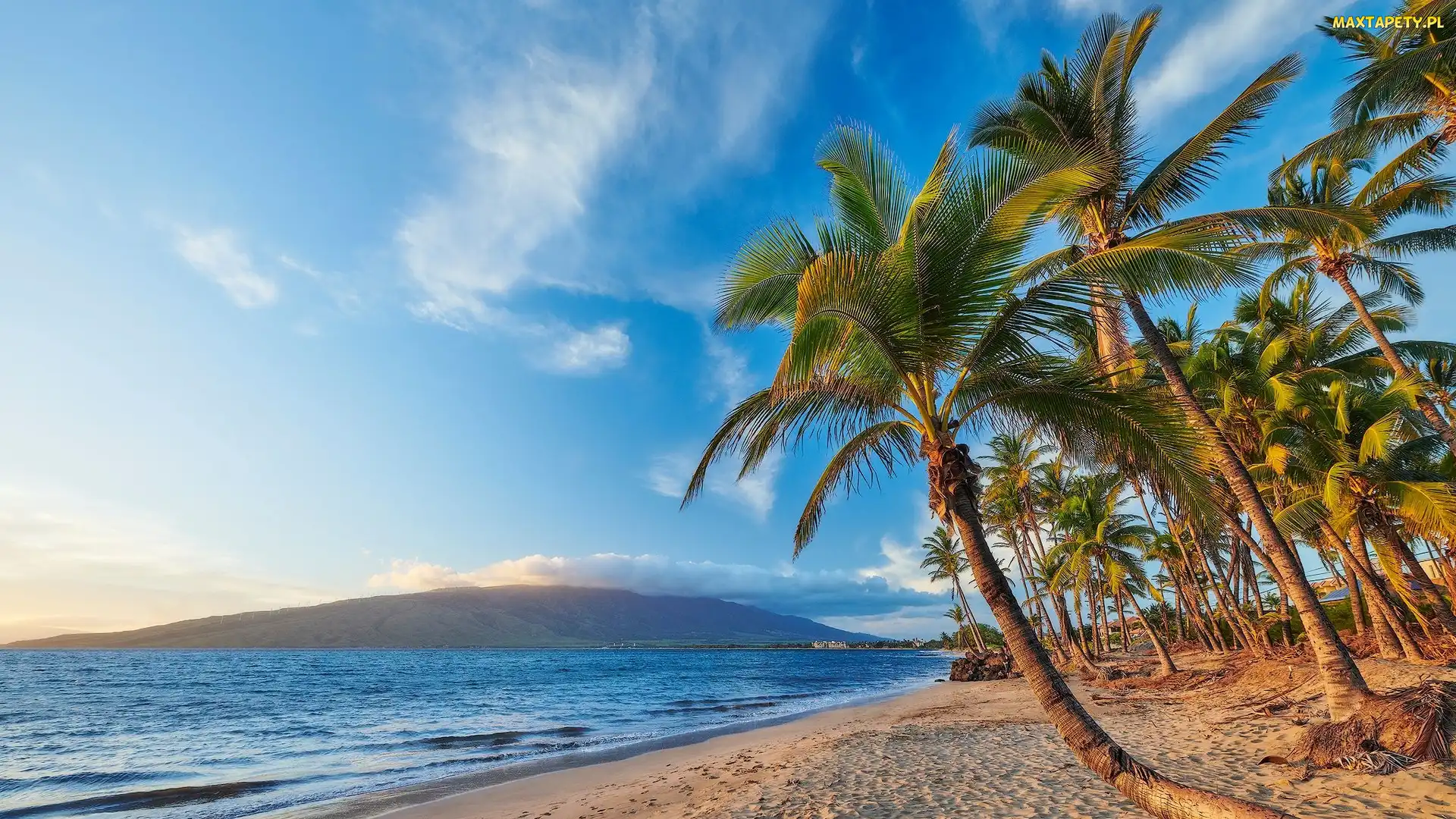 Wyspa Maui, Wzgórza, Palmy, Morze, Hawaje
