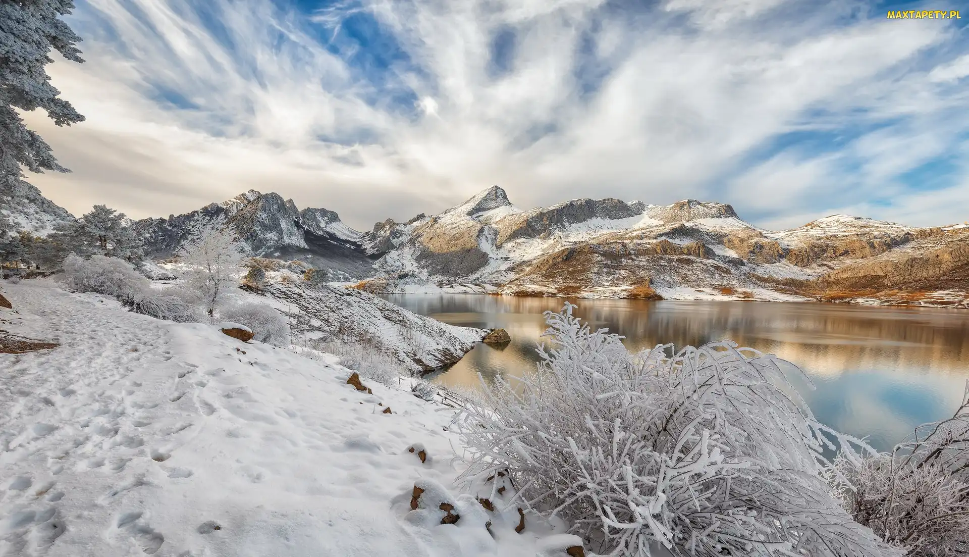 Kastylia i León, Góry, Hiszpania, Zima, Drzewa, Jezioro Embalse de Riaño, Śnieg, Krzewy