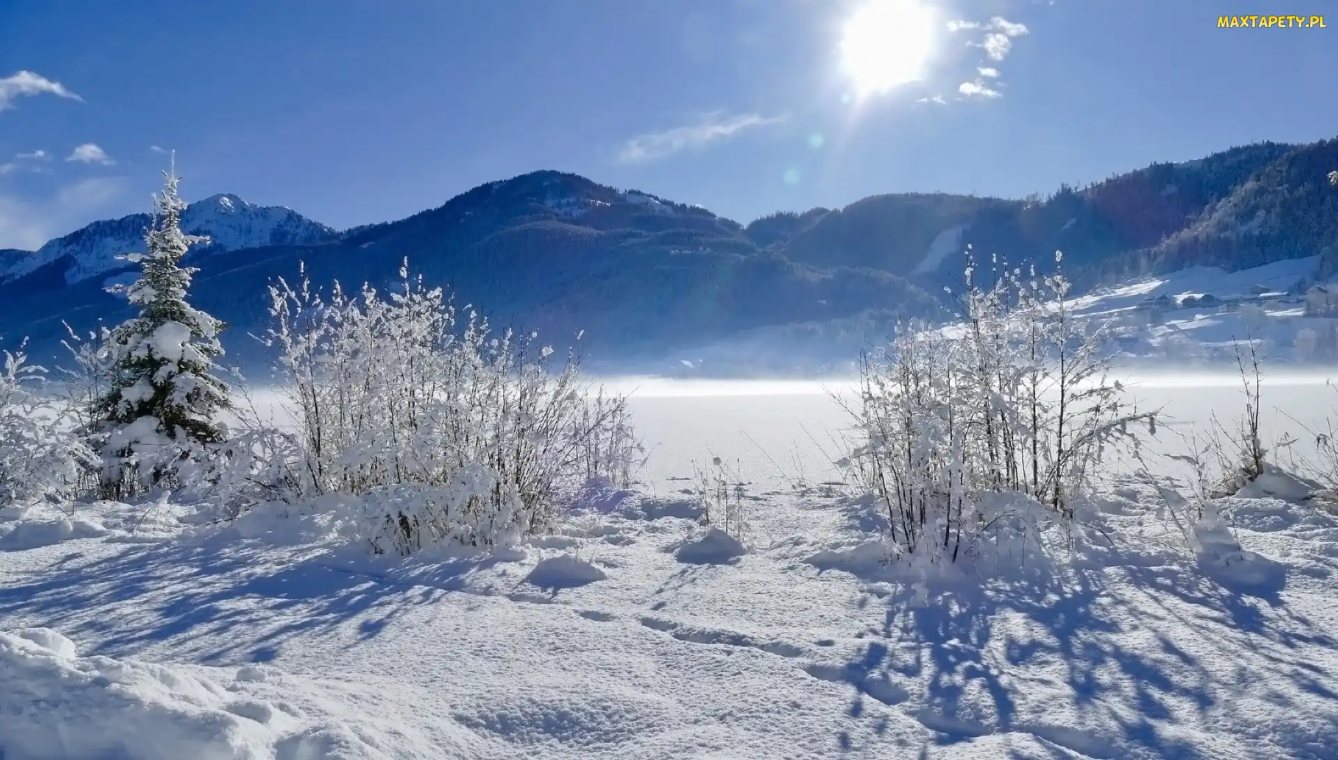 Krzewy, Promienie słońca, Góry, Drzewo, Alpy Gailtalskie, Karyntia, Jezioro Weißensee, Zima, Austria, Krajobraz
