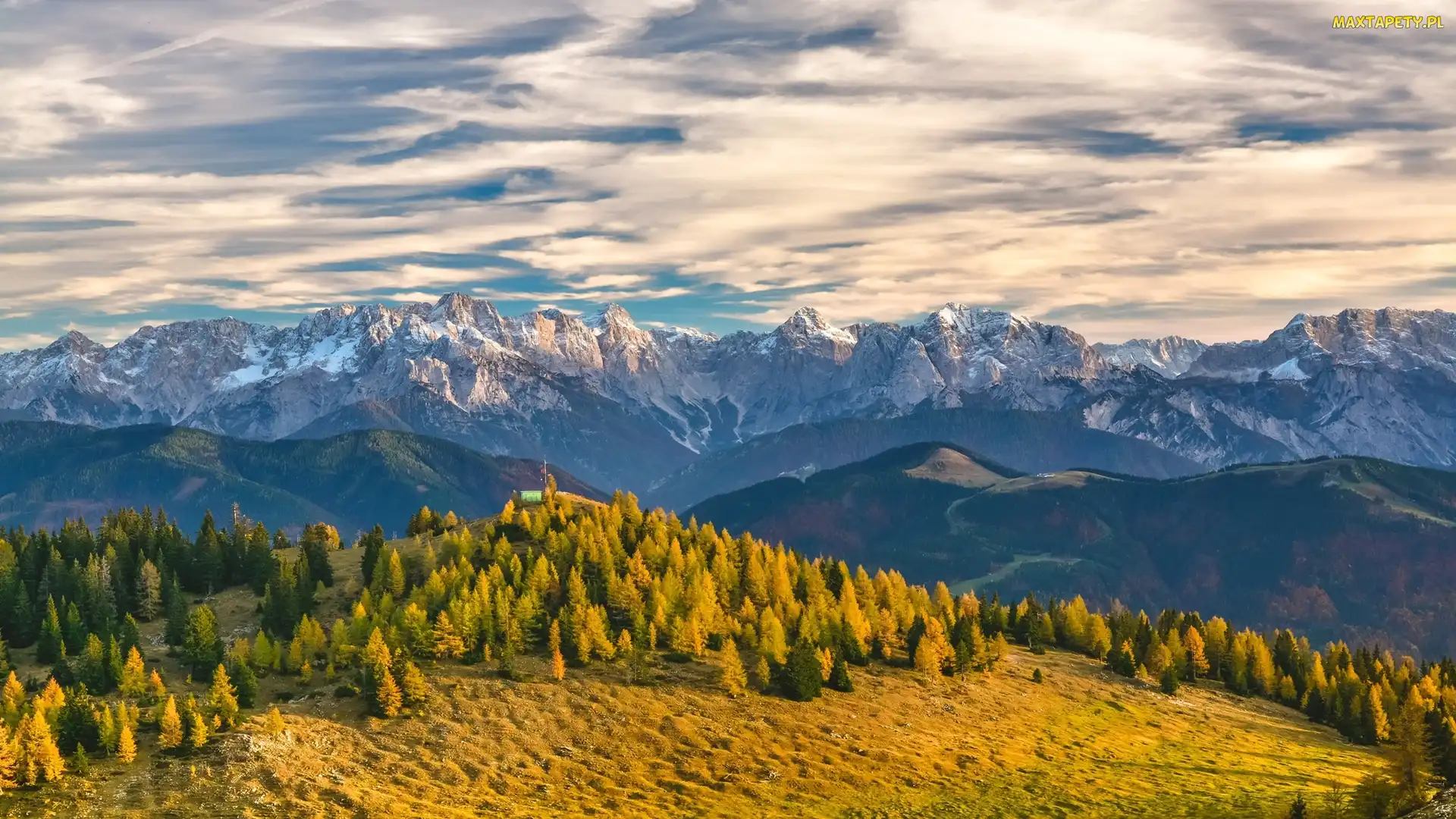 Karyntia, Drzewa, Alpy Julijskie, Góry Alpy, Austria
