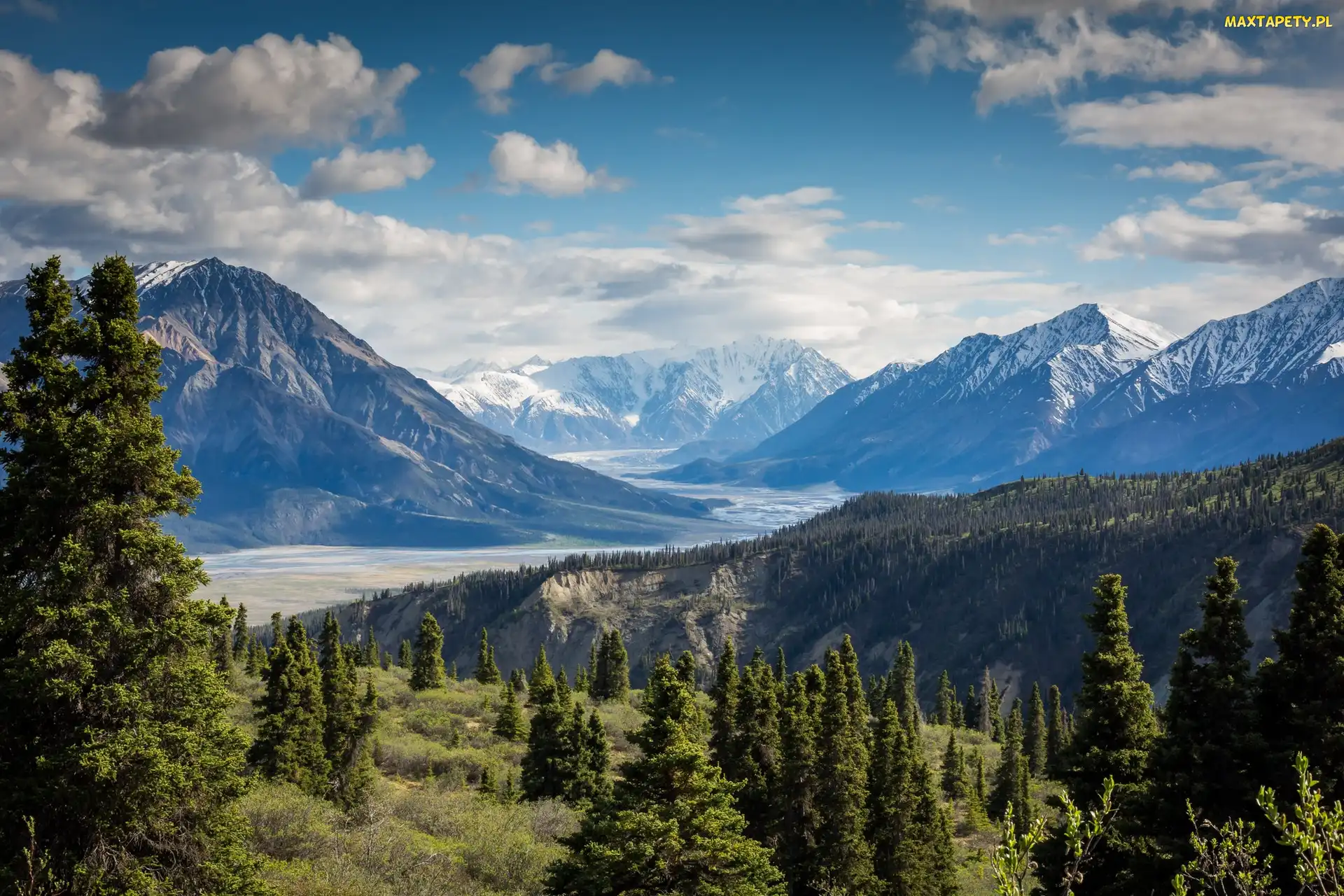 Kanada, Lasy, Szczyt, Drzewa, Mount Logan, Masyw, Jukon, Park Narodowy Kluane, Góry