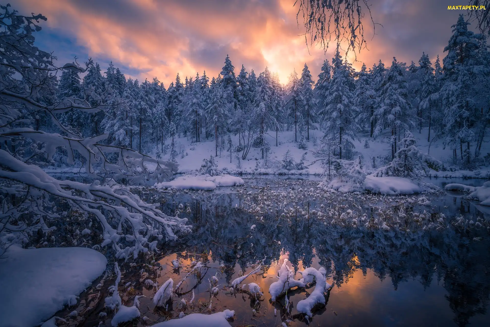 Śnieg, Drzewa, Staw, Norwegia, Gmina Ringerike, Zima