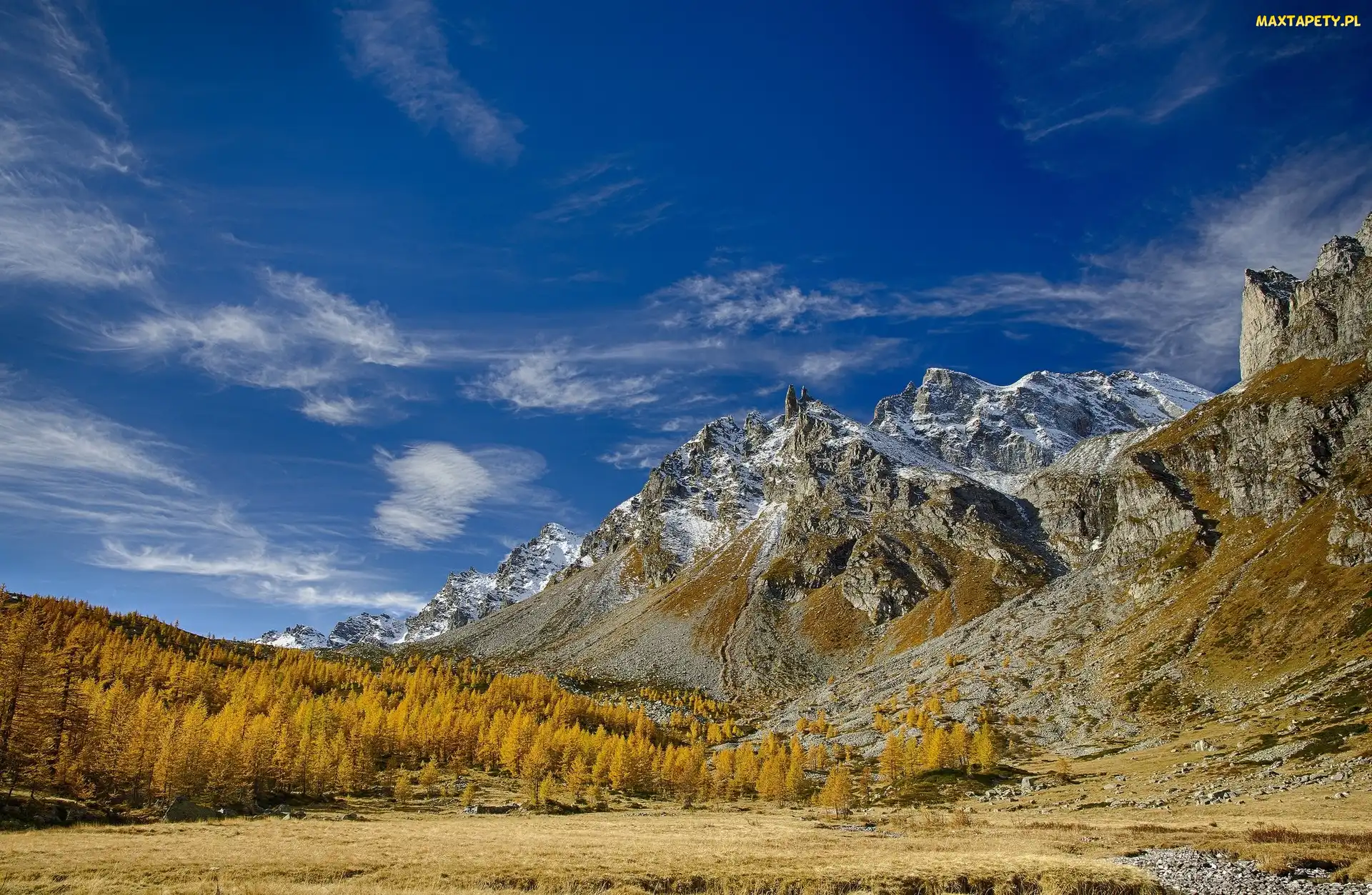 Włochy, Las, Jesień, Drzewa, Niebo, Ośrodek narciarski Alpe Devero, Region Piemont, Góry Alpy, Dolina Val Buscagna