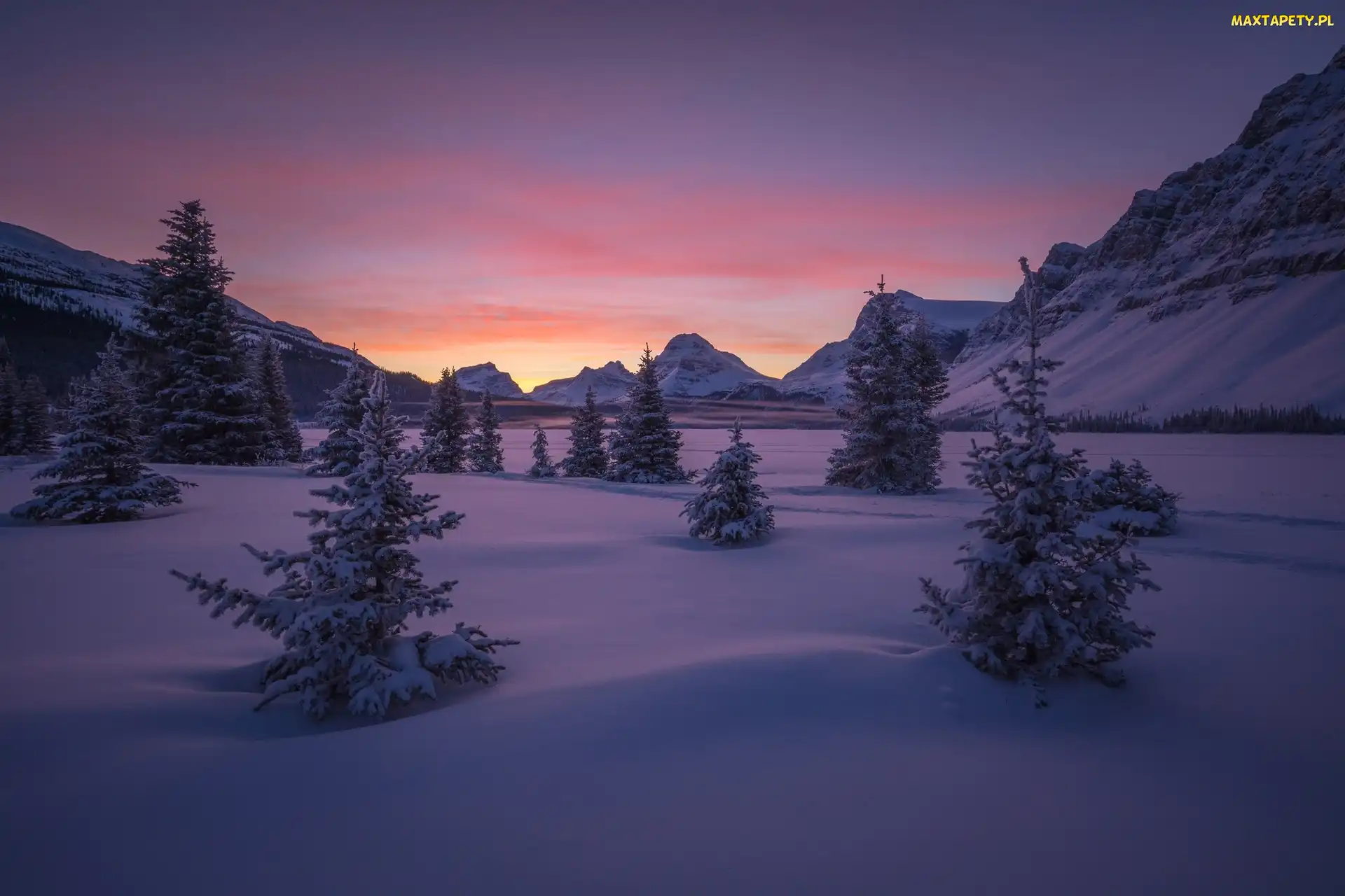 Drzewa, Alberta, Zima, Park Narodowy Banff, Kanada, Góry, Jezioro Bow Lake, Zamarznięte, Zachód słońca, Góra Crowfoot Mountain