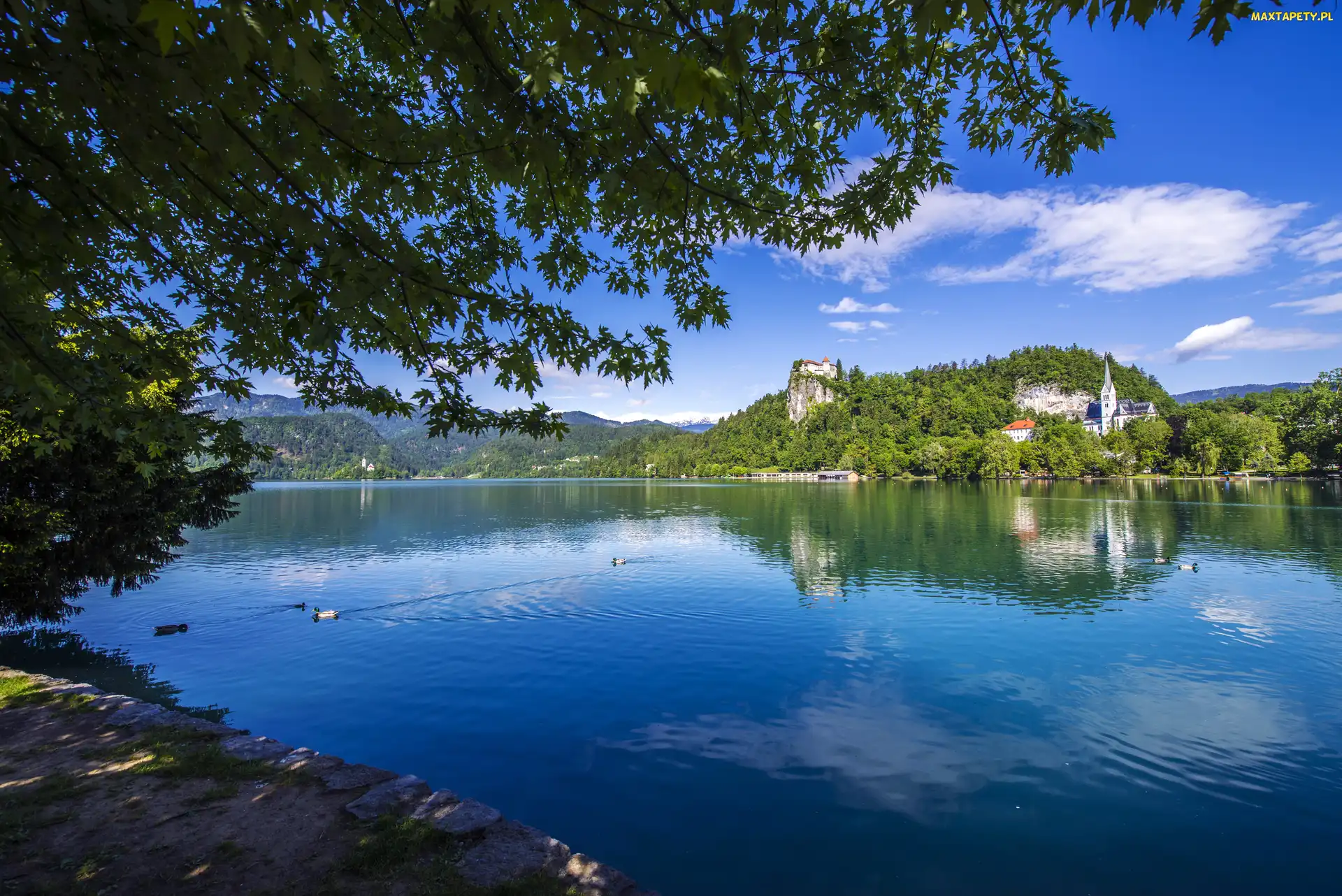 Jezioro Bled, Góry, Słowenia, Kaczki, Wzgórze, Kościół, Zamek Bled Castle, Drzewa