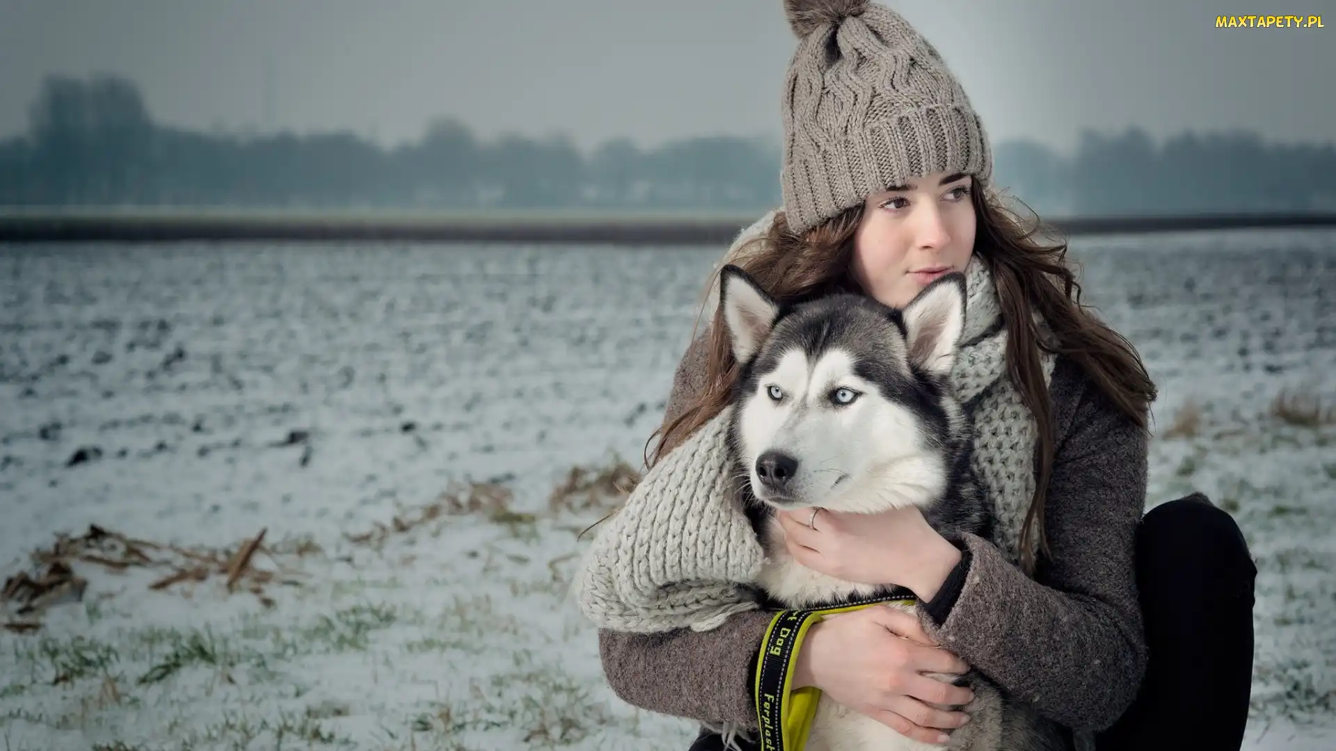 Szalik, Dziewczyna, Siberian husky, Pies, Czapka, Pole