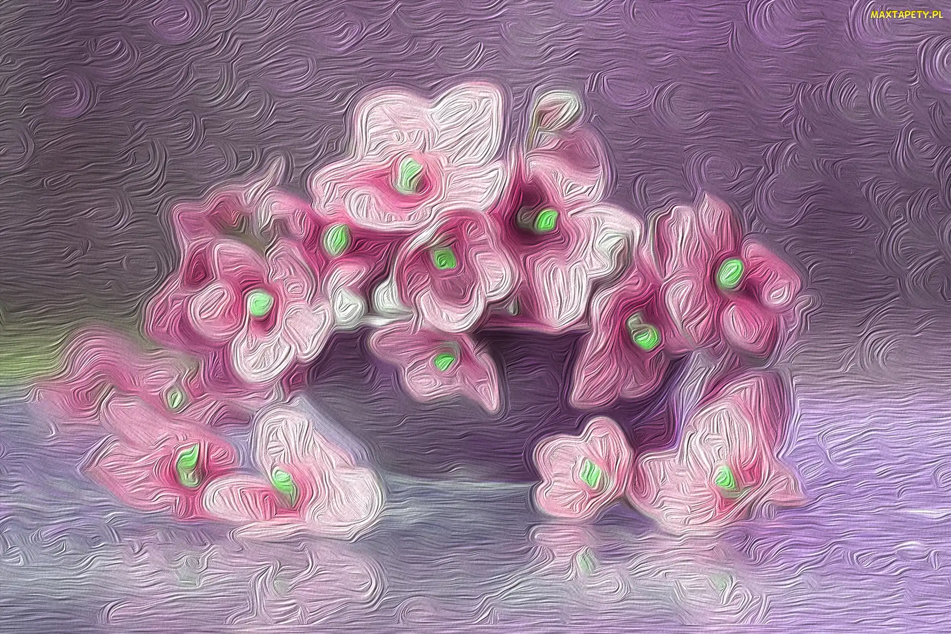 Kwiaty, Sępolia, Różowe