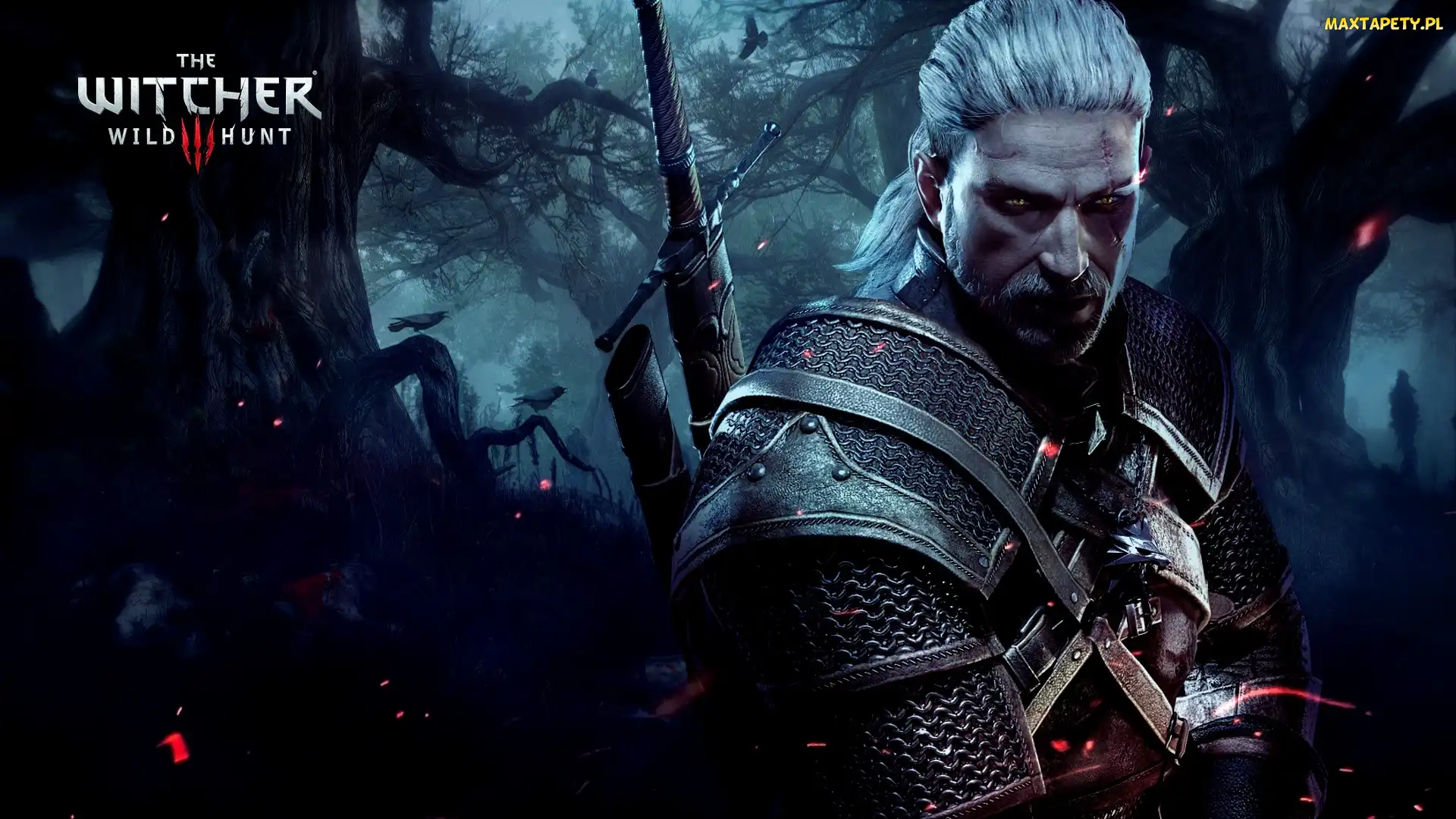 Gra, Geralt z Rivii, The Witcher 3: Wild Hunt, Wiedźmin 3: Dziki Gon