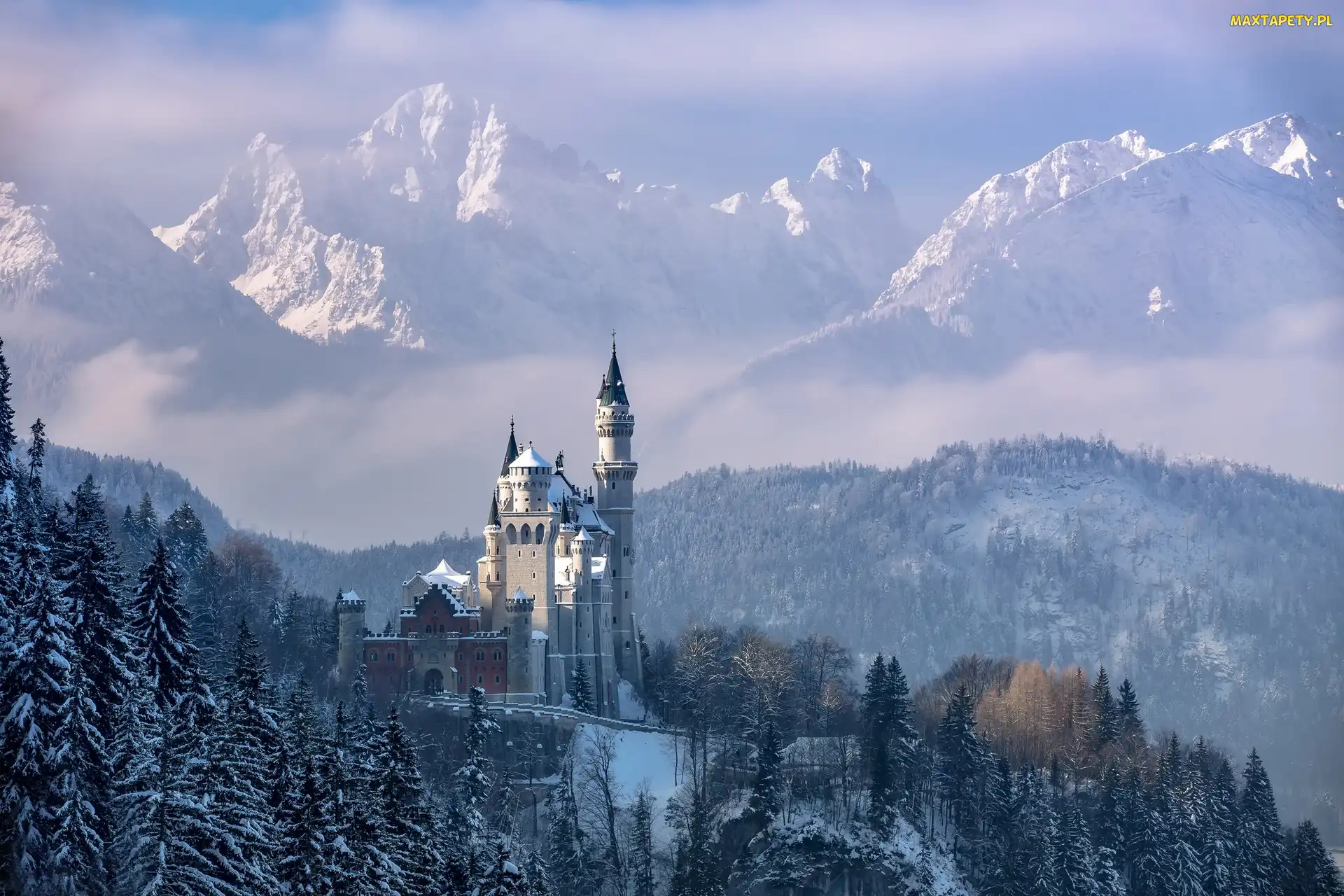 Góry Alpy, Las, Niemcy, Zima, Ośnieżone, Mgła, Bawaria, Drzewa, Zamek Neuschwanstein, Gmina Schwangau, Region Allgäu