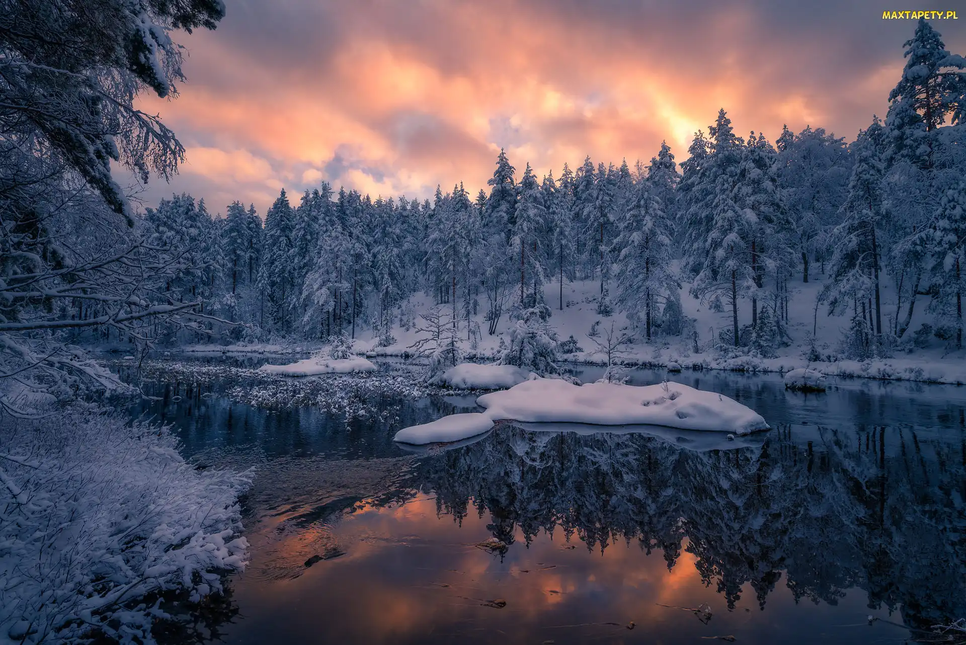 Śnieg, Drzewa, Gmina Ringerike, Norwegia, Jezioro, Zima