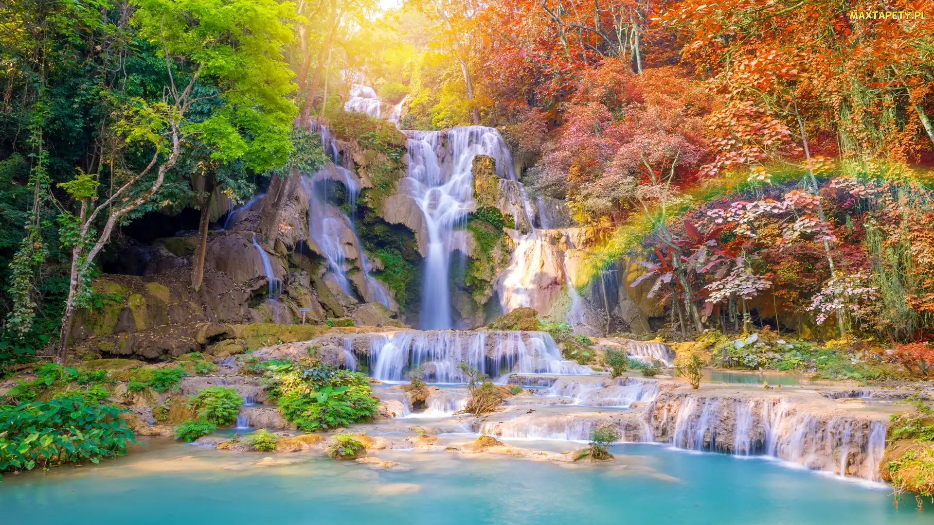 Wodospad Kuang Si Falls, Drzewa, Laos