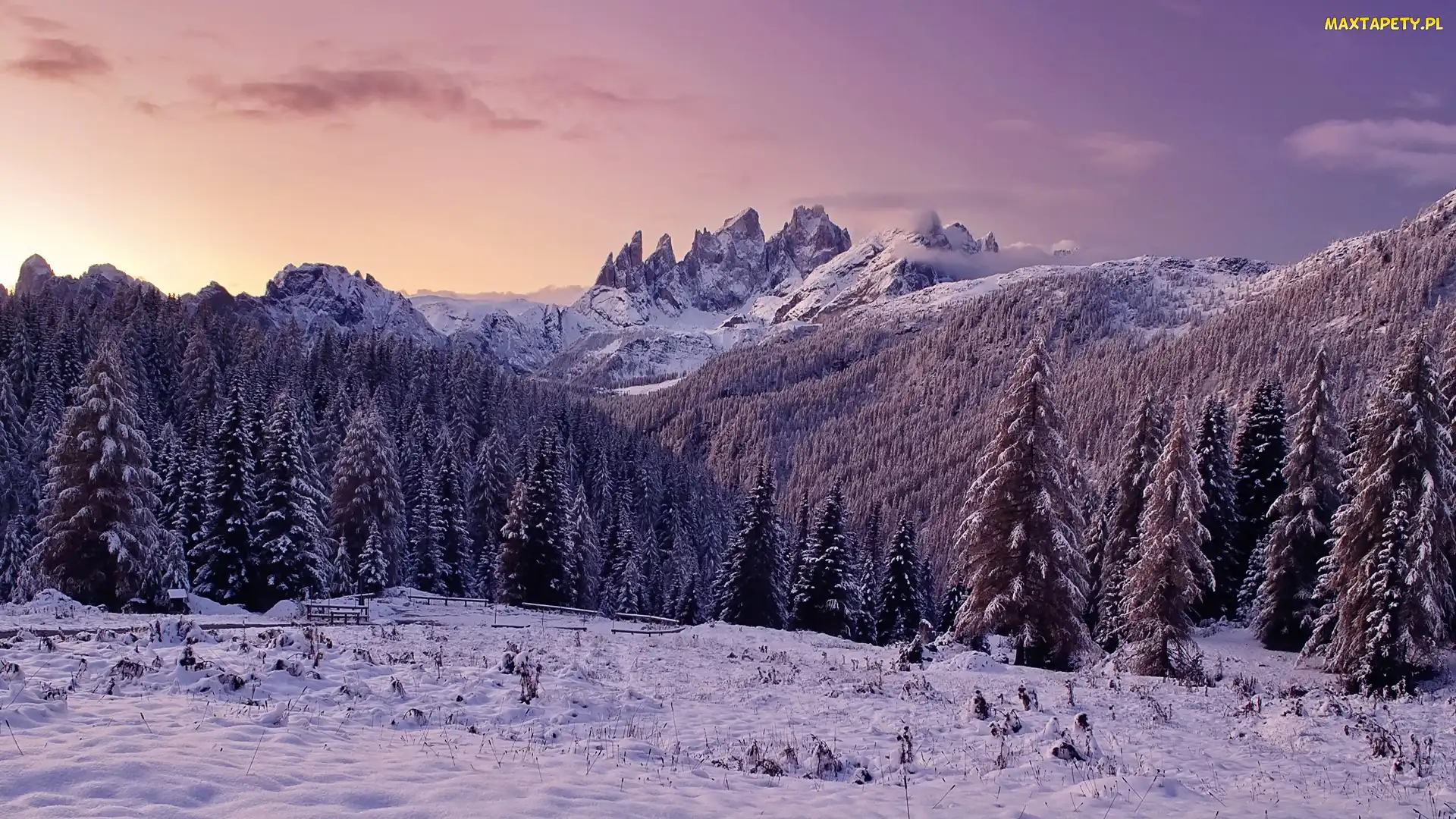 Dolomity, Włochy, Drzewa, Góry, Zima, Las, Zachód Słońca