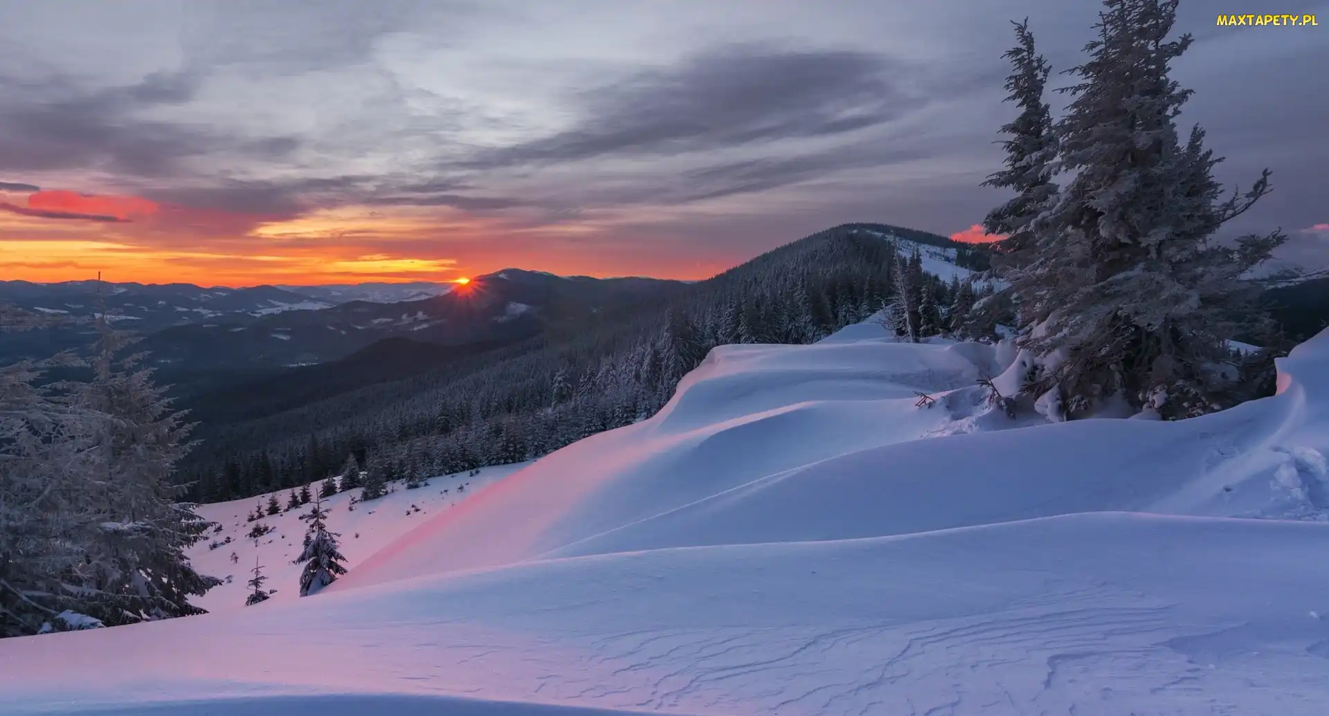 Góra Kukul, Góry Karpaty, Ukraina, Wschód słońca, Drzewa, Lasy, Świt, Zima