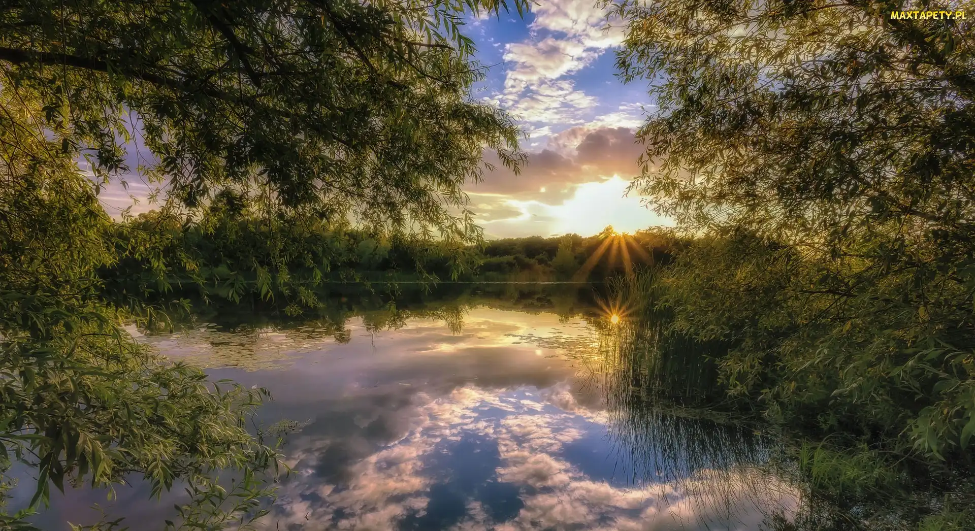 Drzewa, Las, Stupino, Zachód słońca, Jezioro, Rosja, Park