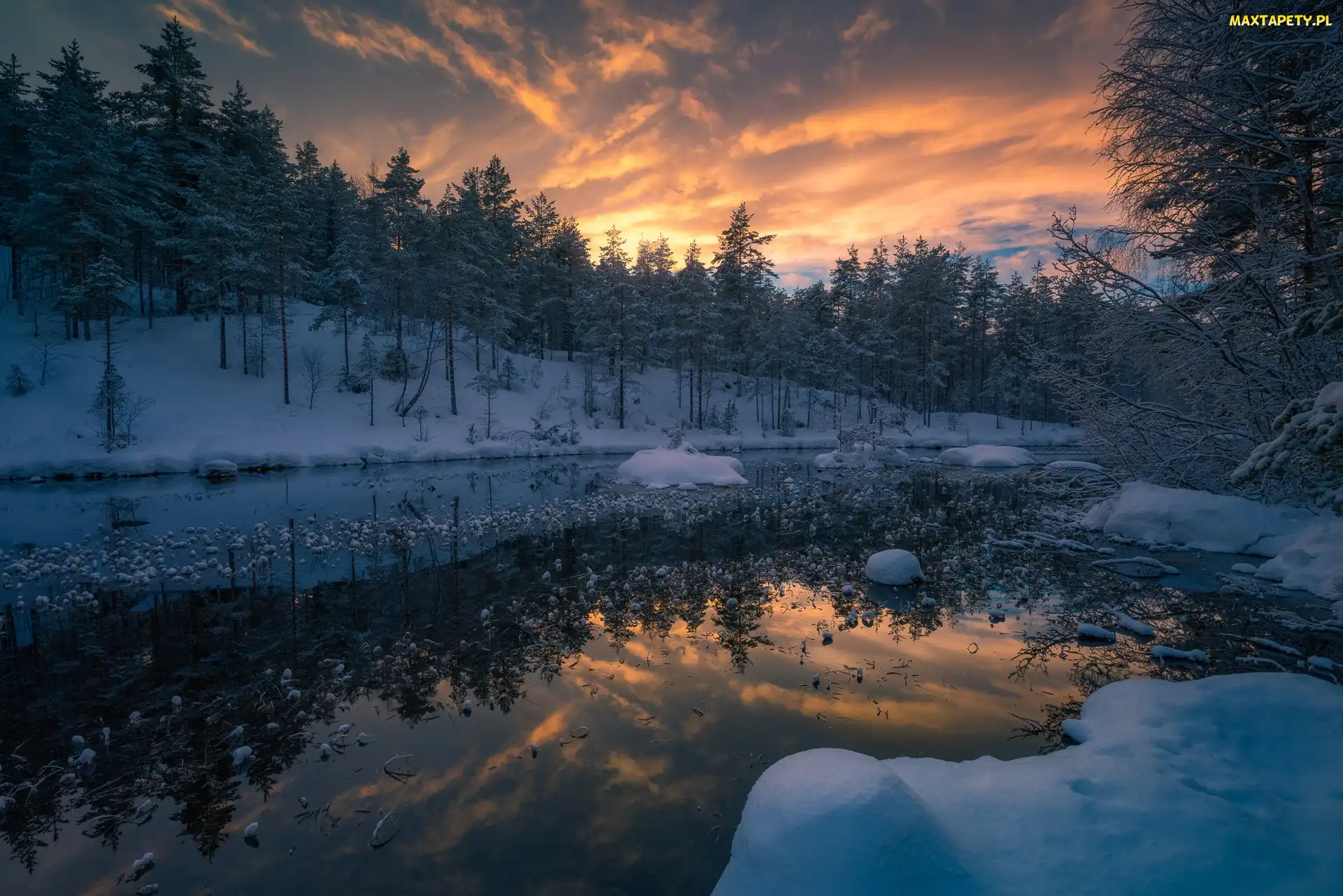 Gmina Ringerike, Zachód słońca, Norwegia, Śnieg, Las, Zima, Drzewa, Jezioro