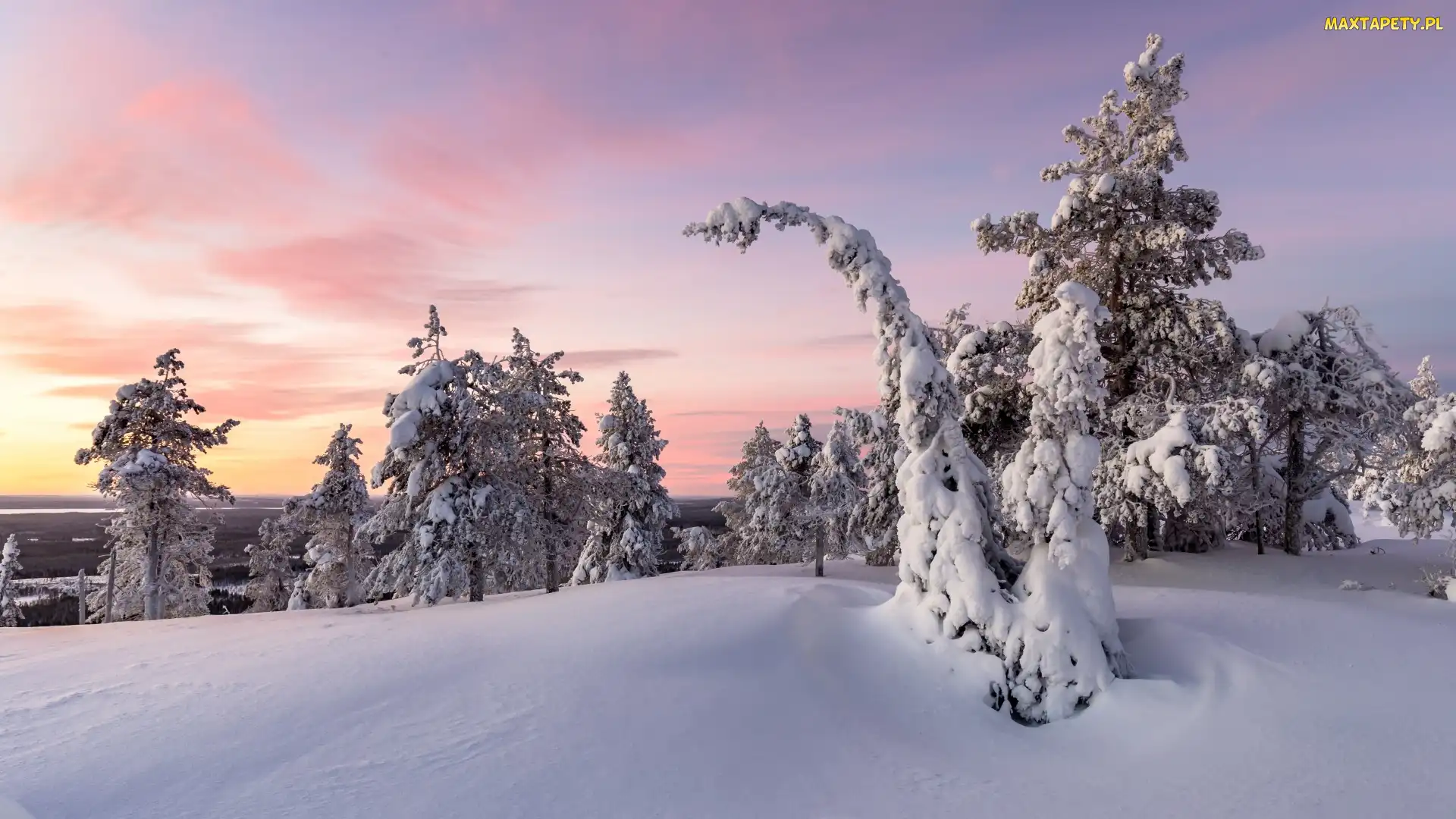 Finlandia, Ośnieżone, Zima, Drzewa, Wzgórze, Wschód słońca, Laponia, Gmina Posio, Park Narodowy Riisitunturi