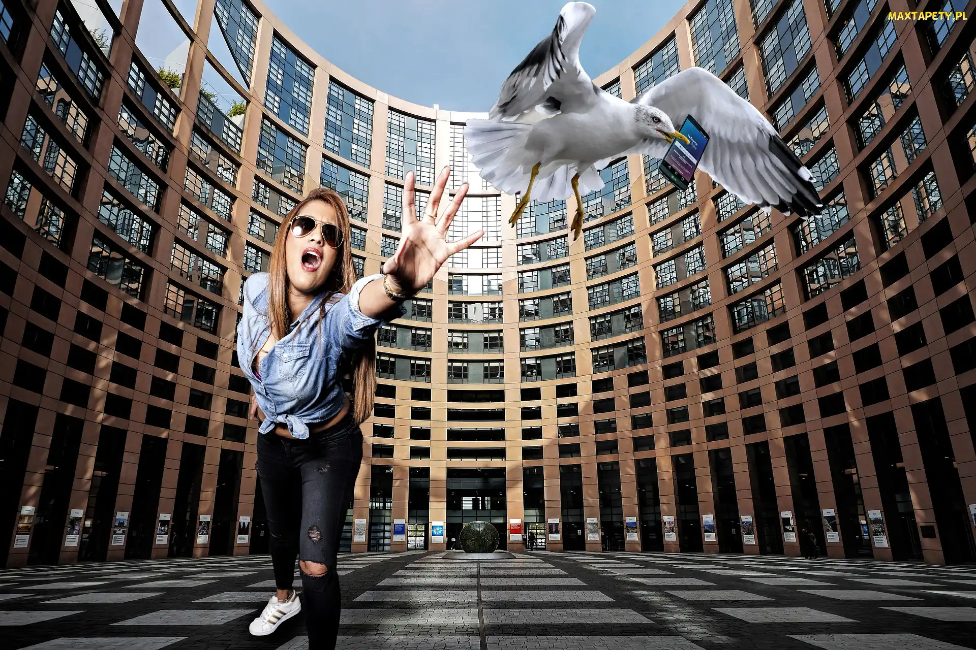 Mewa, Uciekająca, Strasburg, Francja, Parlament Europejski, Kobieta