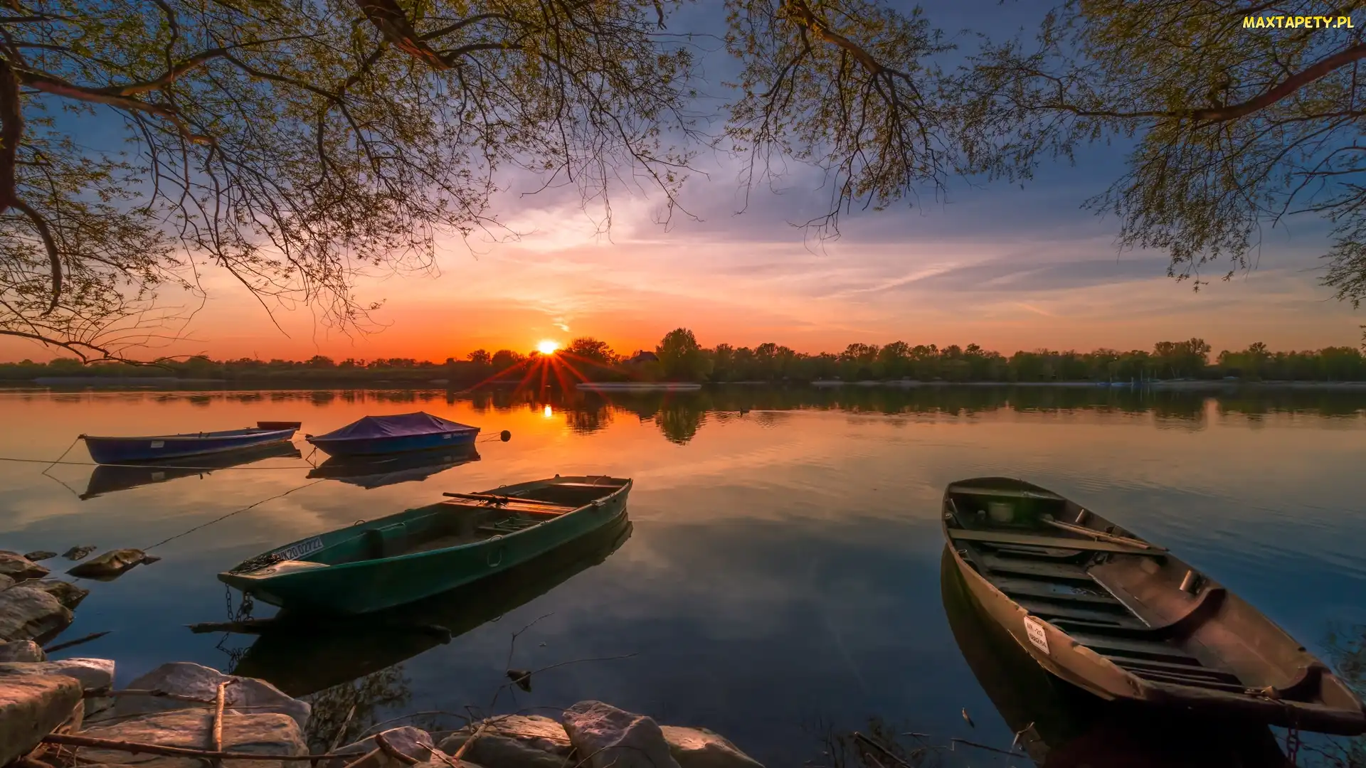 Gałęzie, Zachód słońca, Jezioro, Łódki