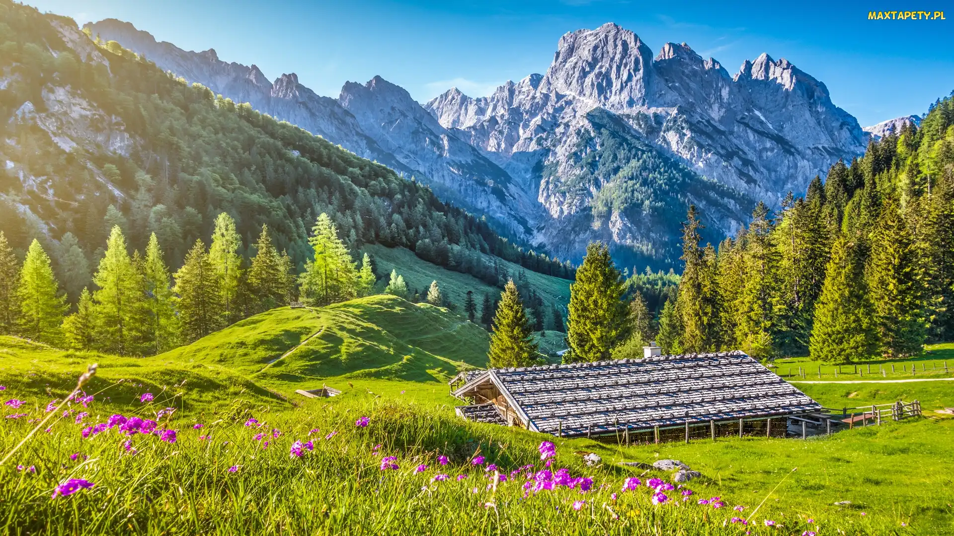 Budynek, Drewniany, Bawaria, Drzewa, Park Narodowy Berchtesgaden, Niemcy, Góry Alpy