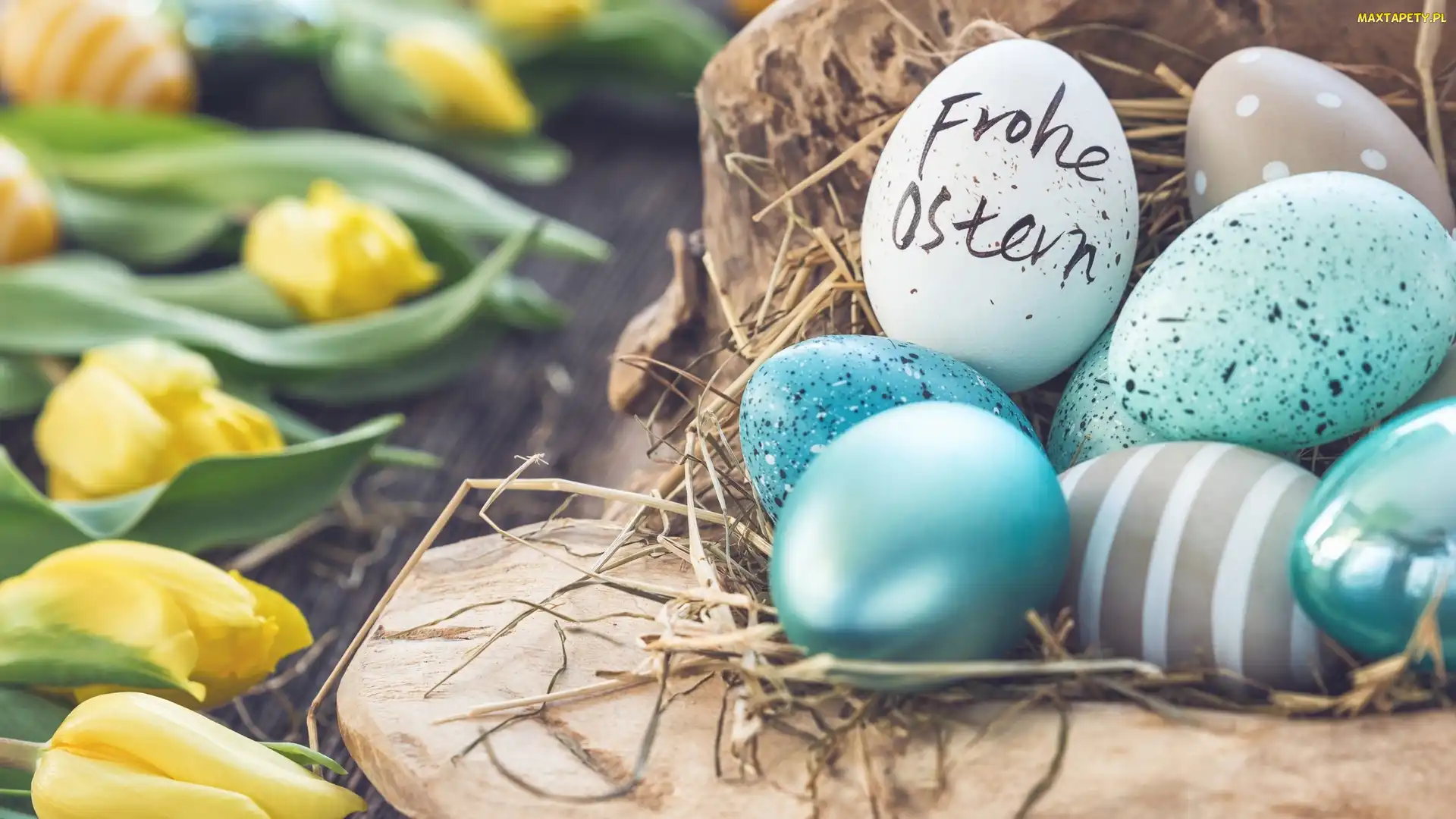 Wielkanoc, Napis, Tulipany, Frohe Ostern, Życzenia, Żółte, Dekoracja, Pisanki, Jajka