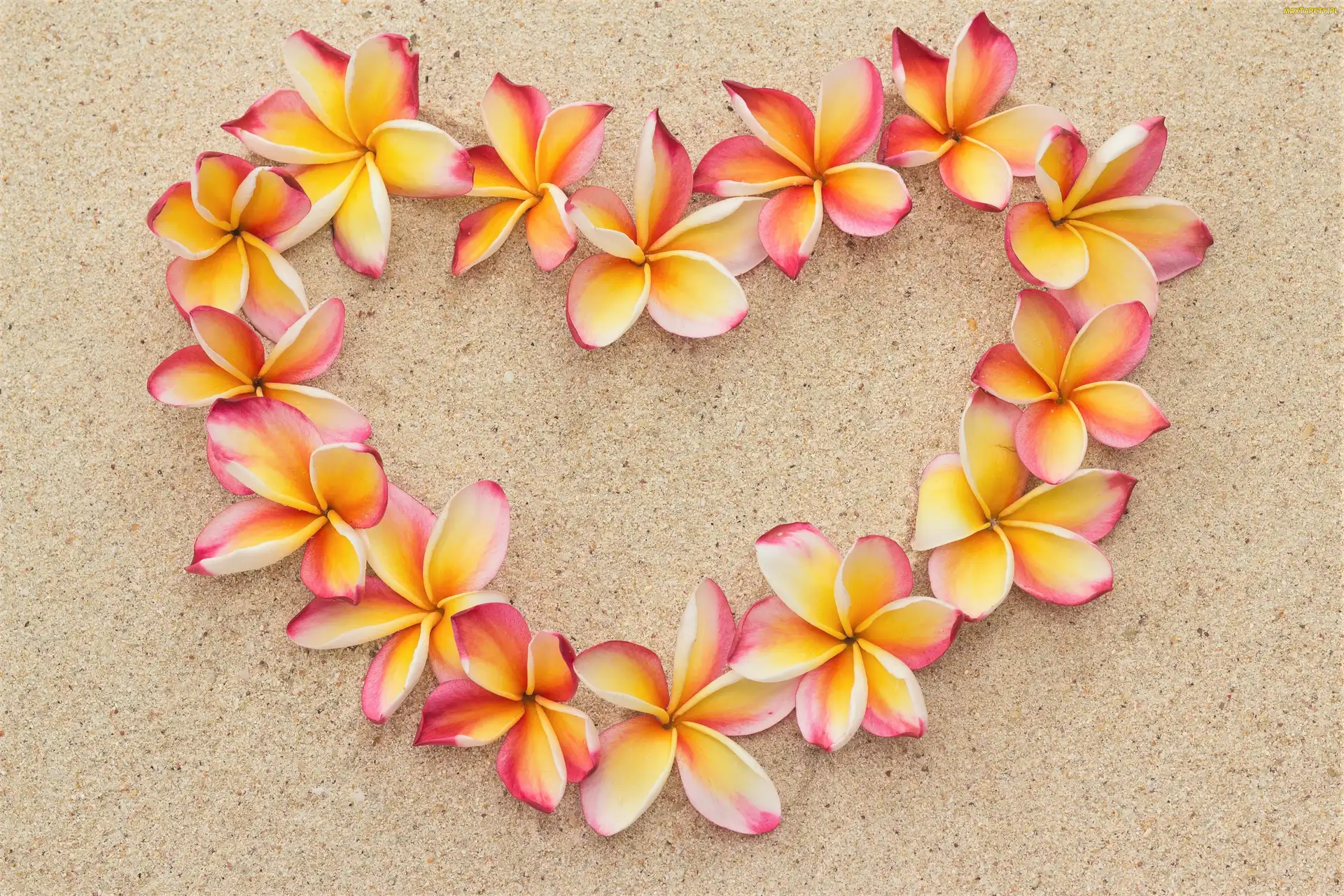 Plaża, Piasek, Serce, Kompozycja, Kwiaty, Plumeria