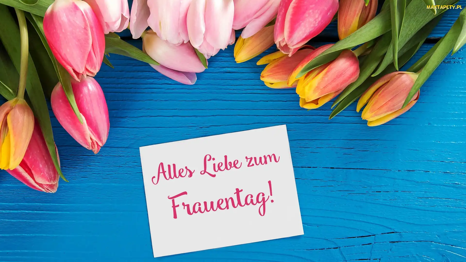 Tulipany, Kwiaty, Dzień Kobiet, Deski, Życzenia, Kartka, Niebieskie, Kolorowe