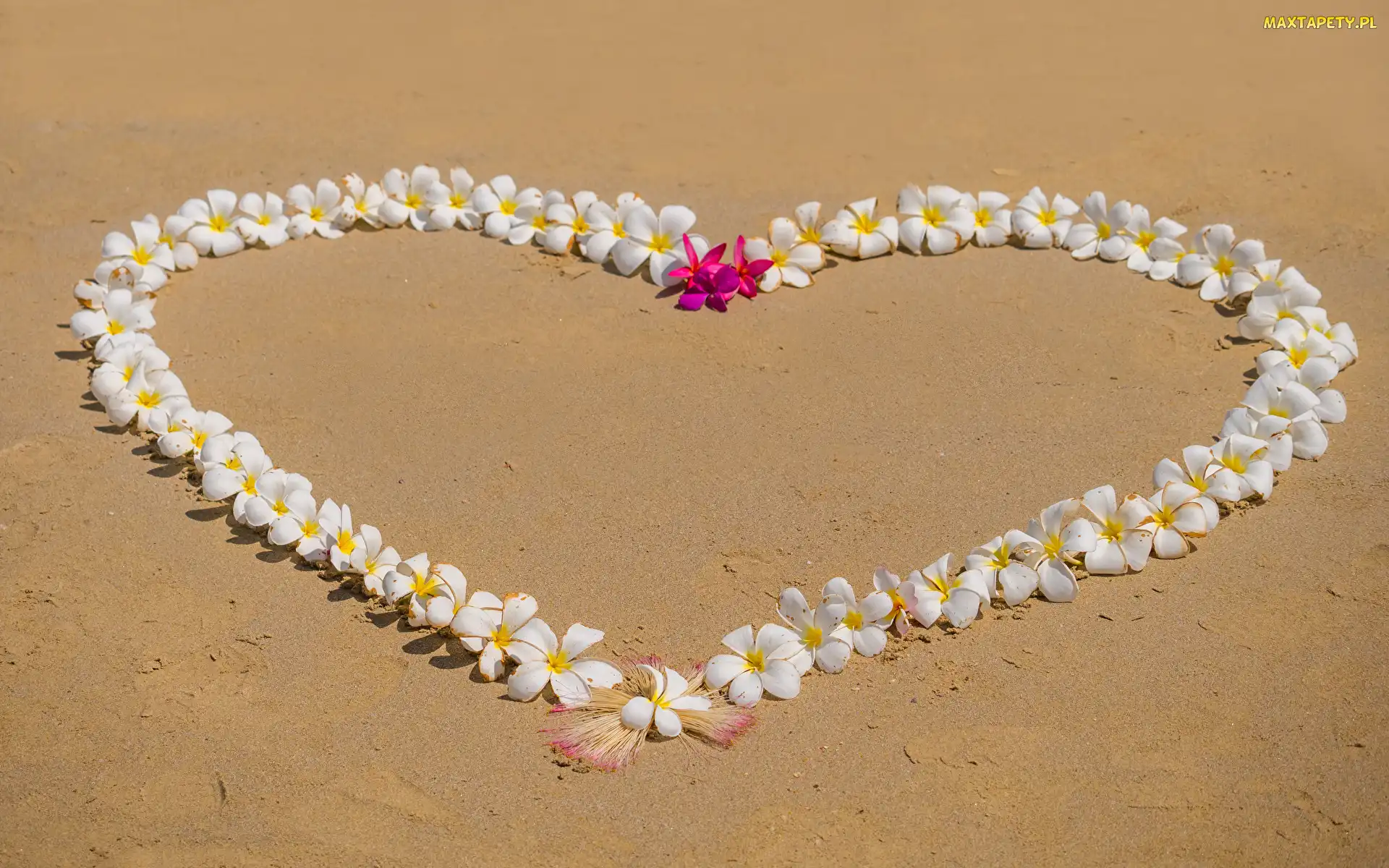 Serce, Piasek, Plumeria, Kwiaty, Miłosne