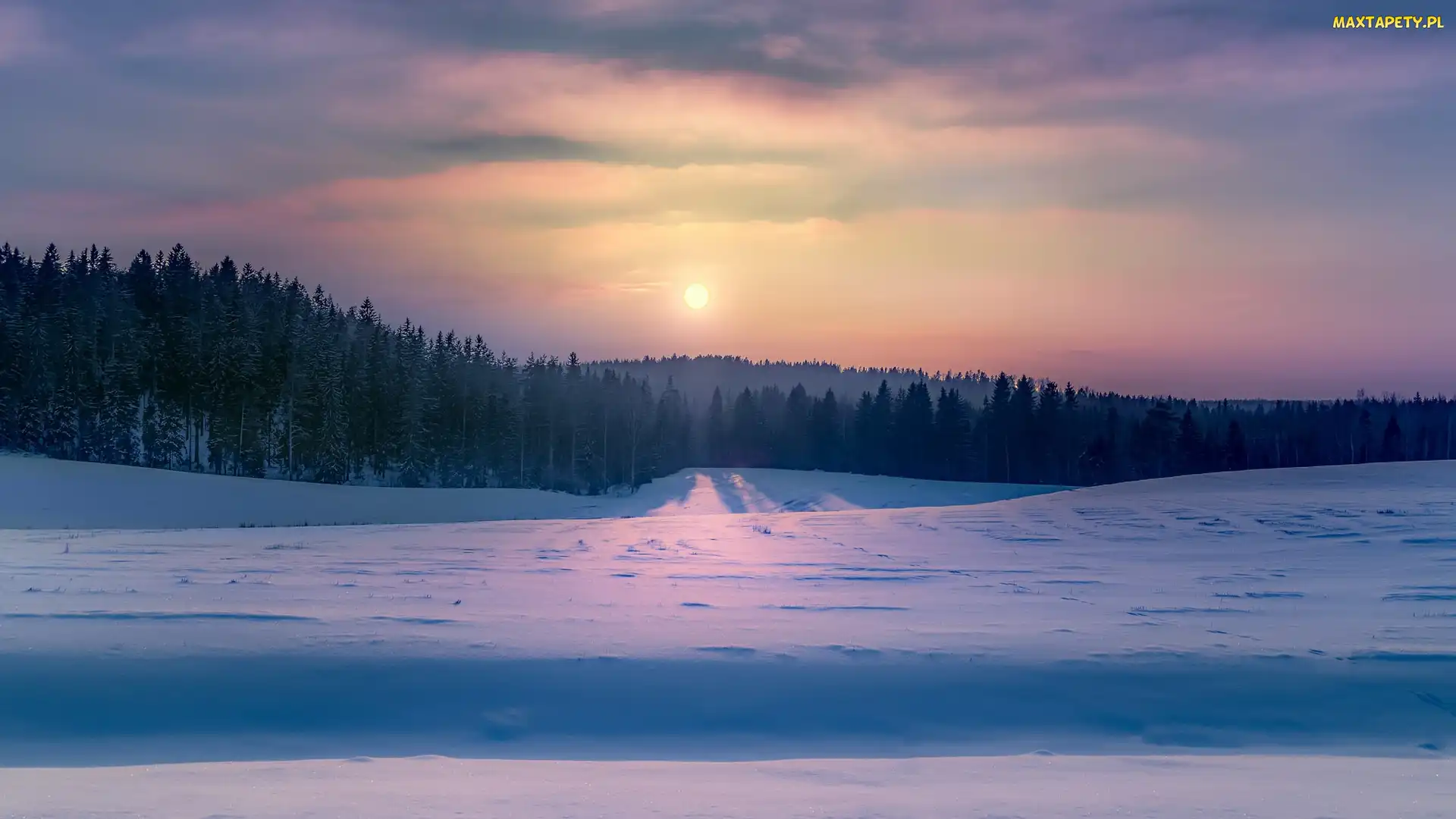 Drzewa, Zachód słońca, Śnieg, Las, Zima