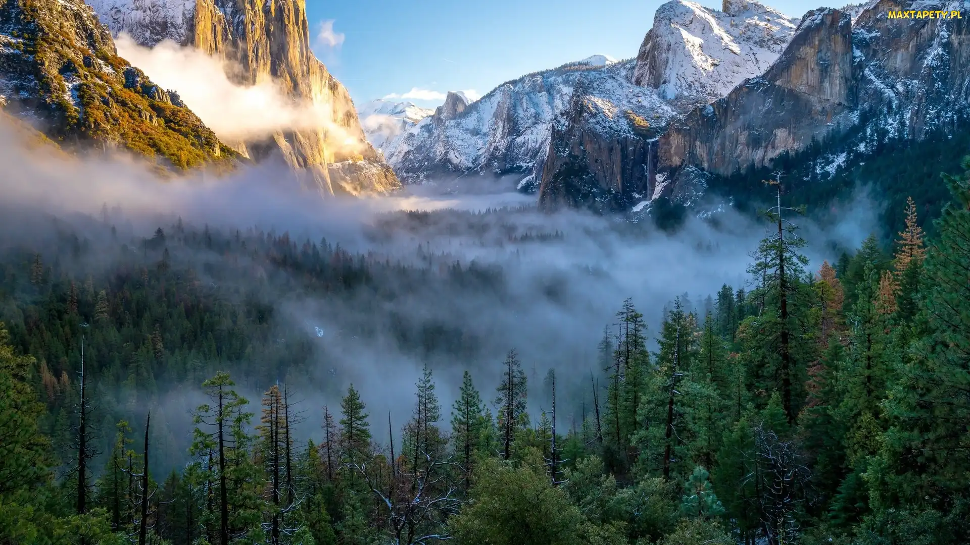 Park Narodowy Yosemite, Dolina Yosemite Valley, Stany Zjednoczone, Mgła, Góry, Stan Kalifornia, Lasy