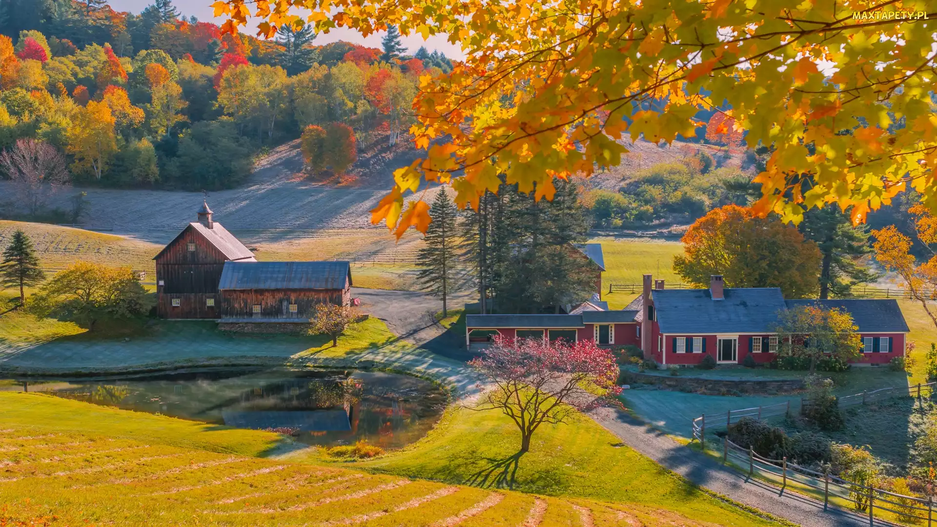 Stany Zjednoczone, Drzewa, Staw, Wieś, Droga, Domy, Stan Vermont, Nowa Anglia, Jesień