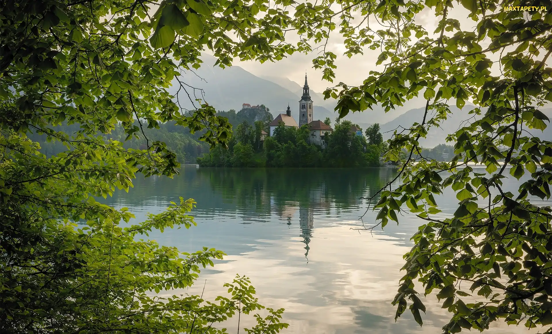 Gałęzie, Zieleń, Jezioro Bled, Słowenia, Wyspa Blejski Otok, Kościół Zwiastowania Marii Panny