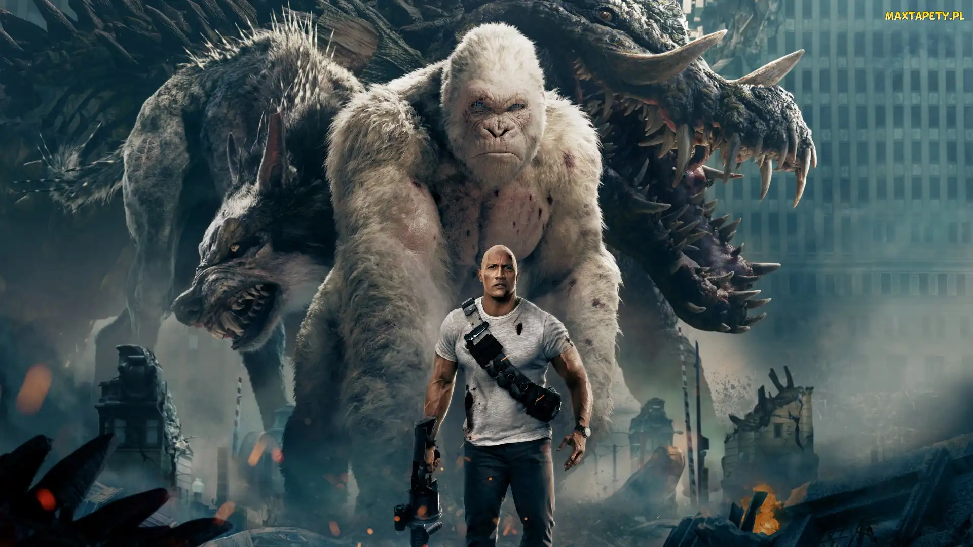 Dwayne Johnson, Aktor, Rampage, Film, Goryl, Davis Okoye