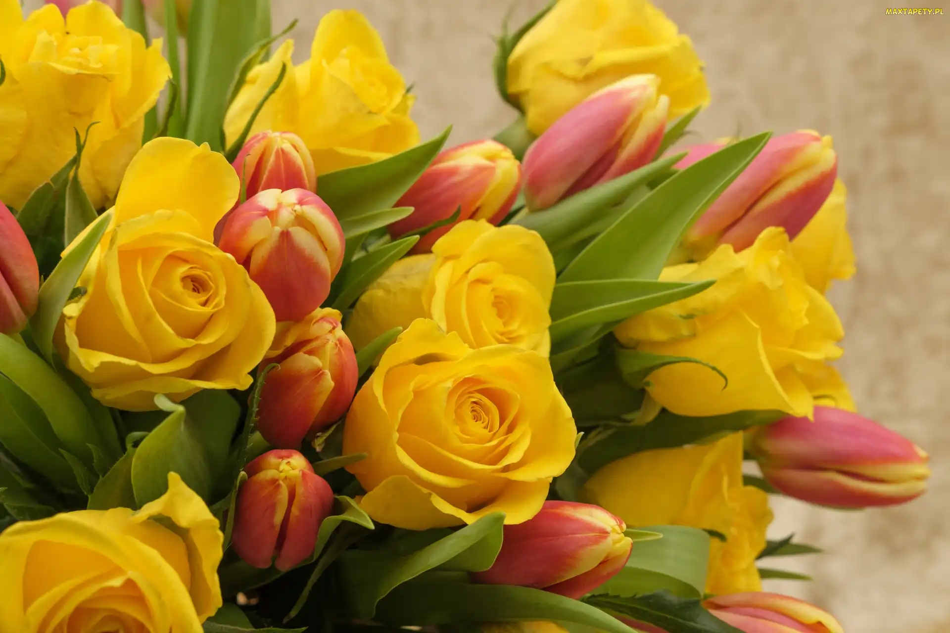 Kwiaty, Tulipany, Róże, Żółte