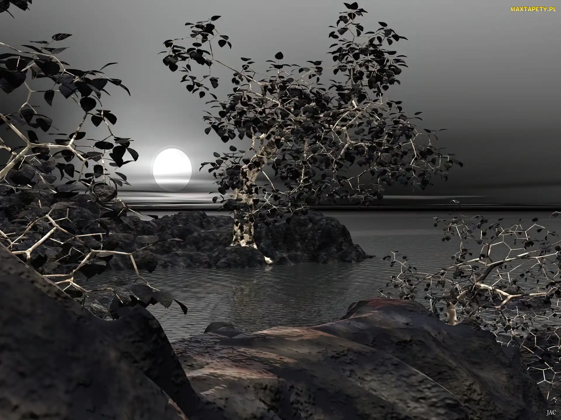 Wektorowa, Drzewa, 3D
