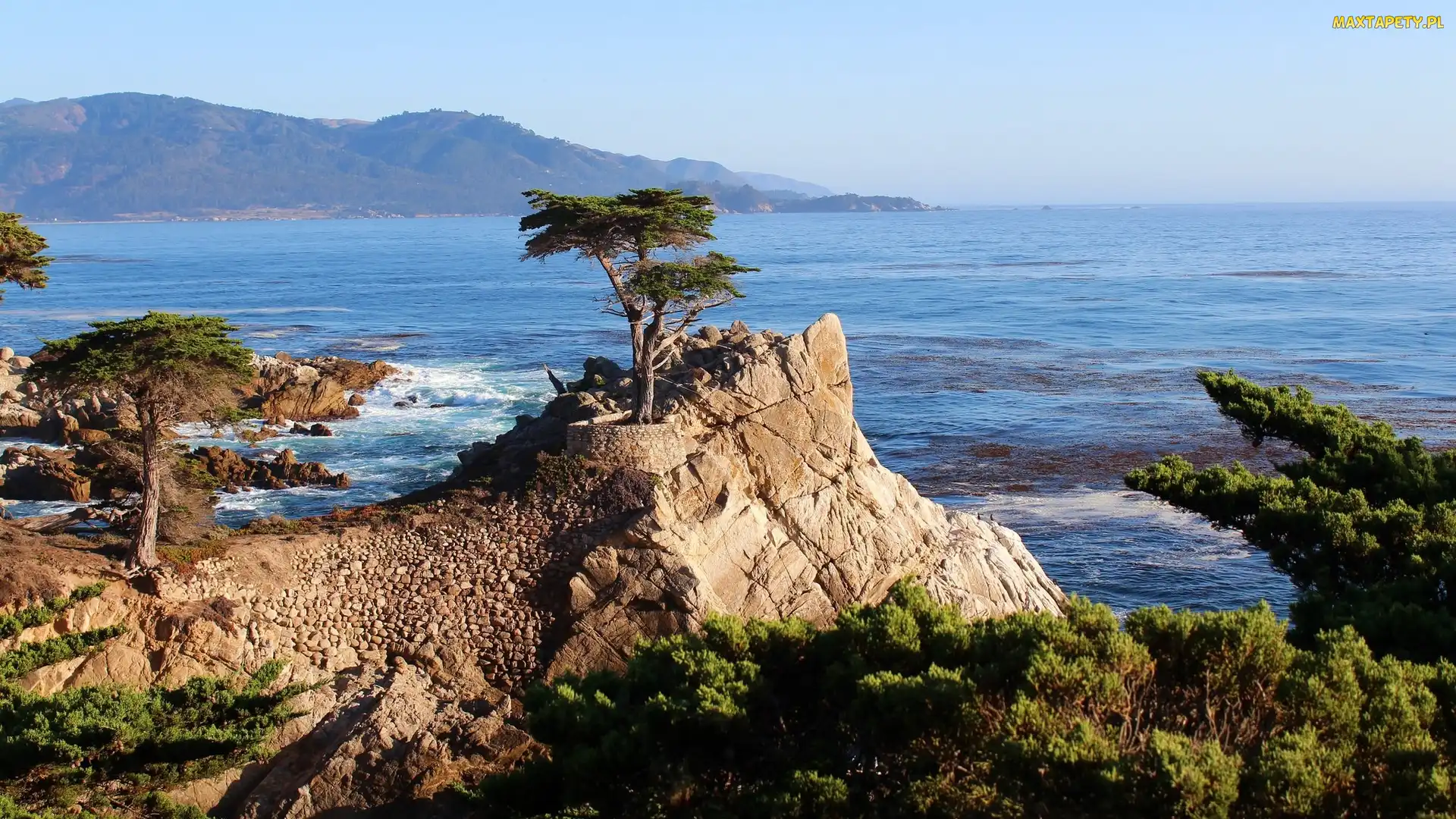 Cyprys wielkoszyszkowy, Pebble Beach, Drzewa, Skały, Stany Zjednoczone, Morze, Zatoka Monterey, Kalifornia, Atrakcja Lone Cypress