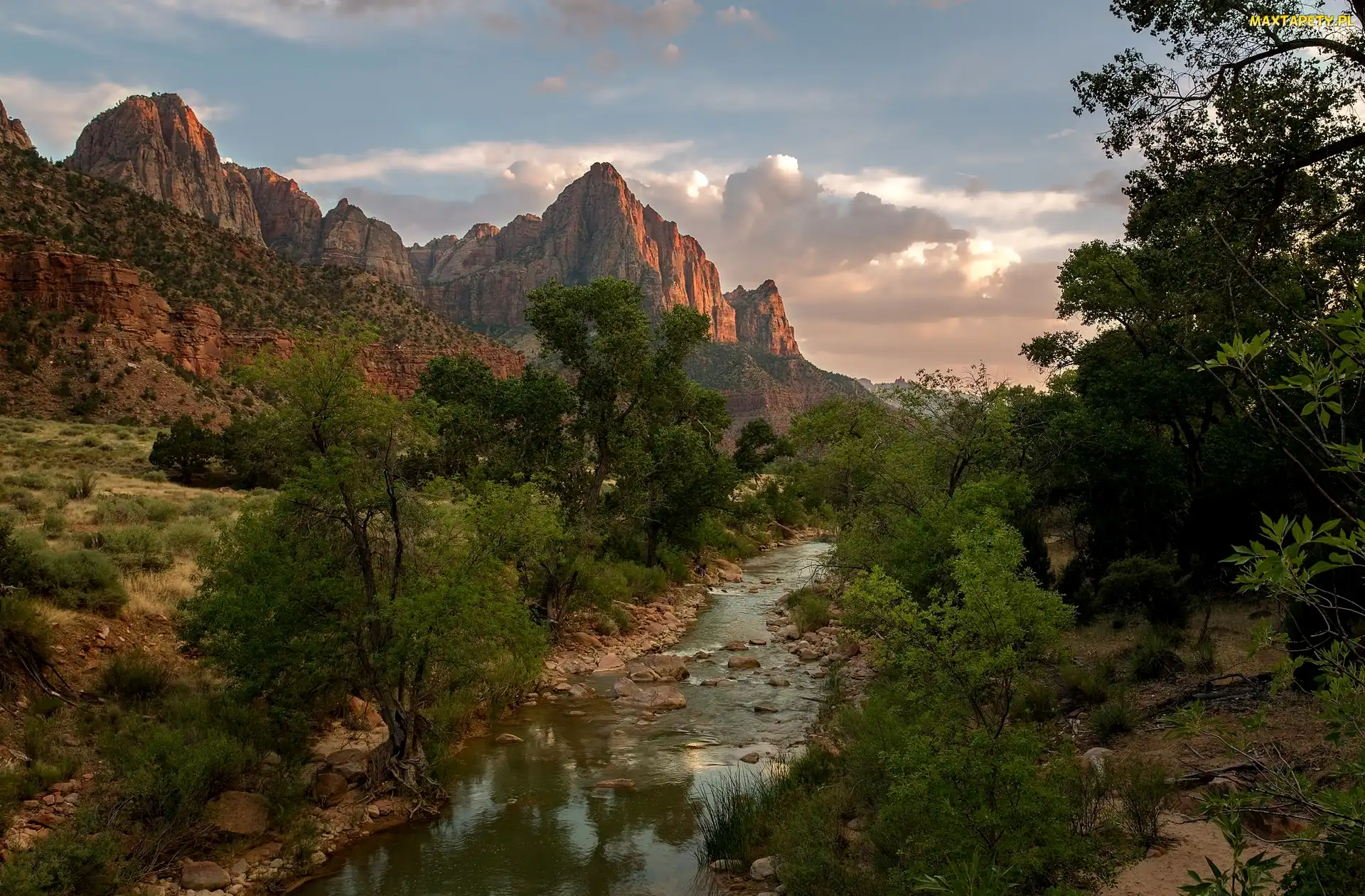 Drzewa, Stany Zjednoczone, Góry Watchman, Park Narodowy Zion, Rzeka Virgin River, Stan Utah
