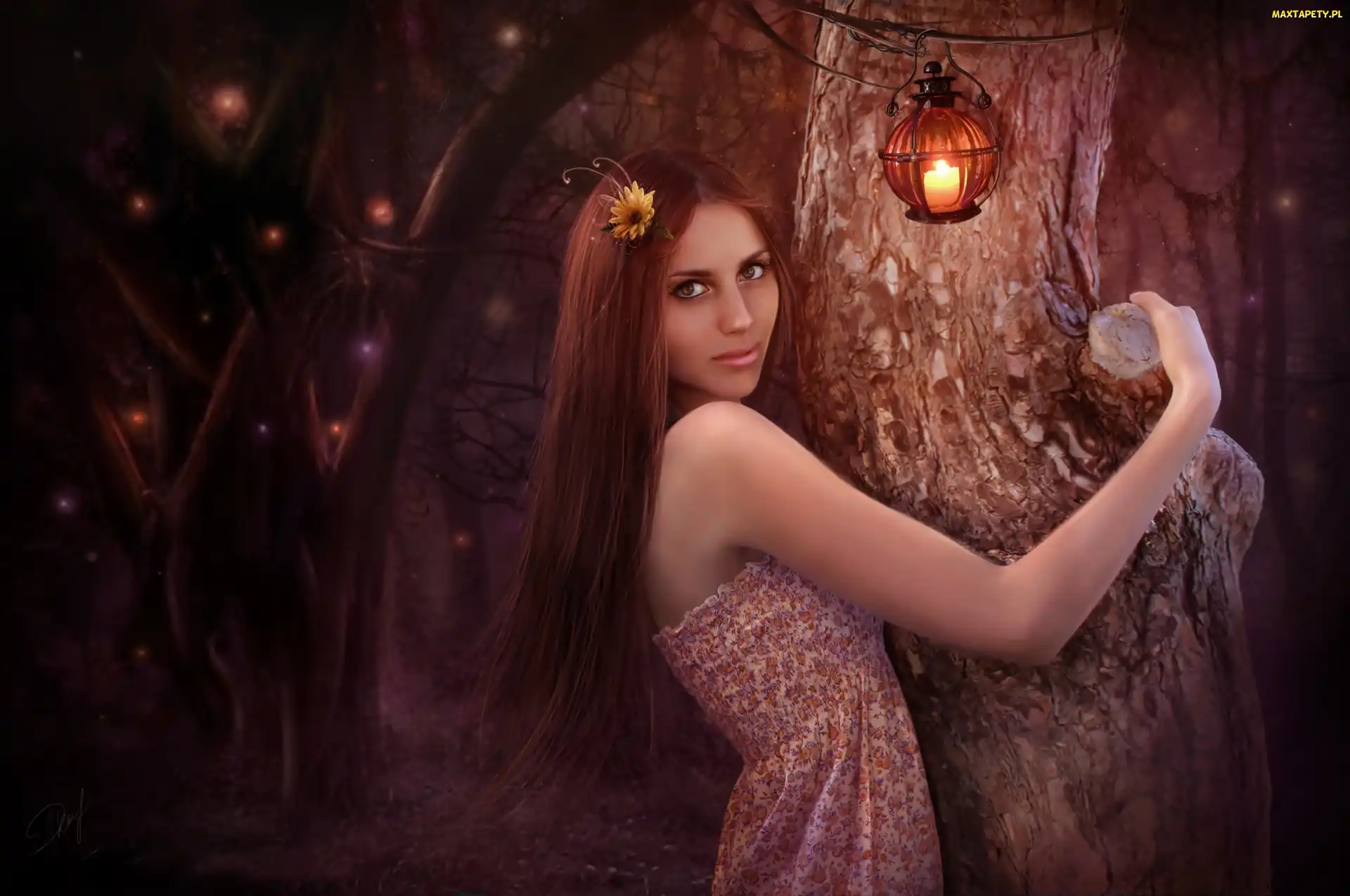 Kobieta, Fantasy, Noc, Las, Drzewa, Lampion