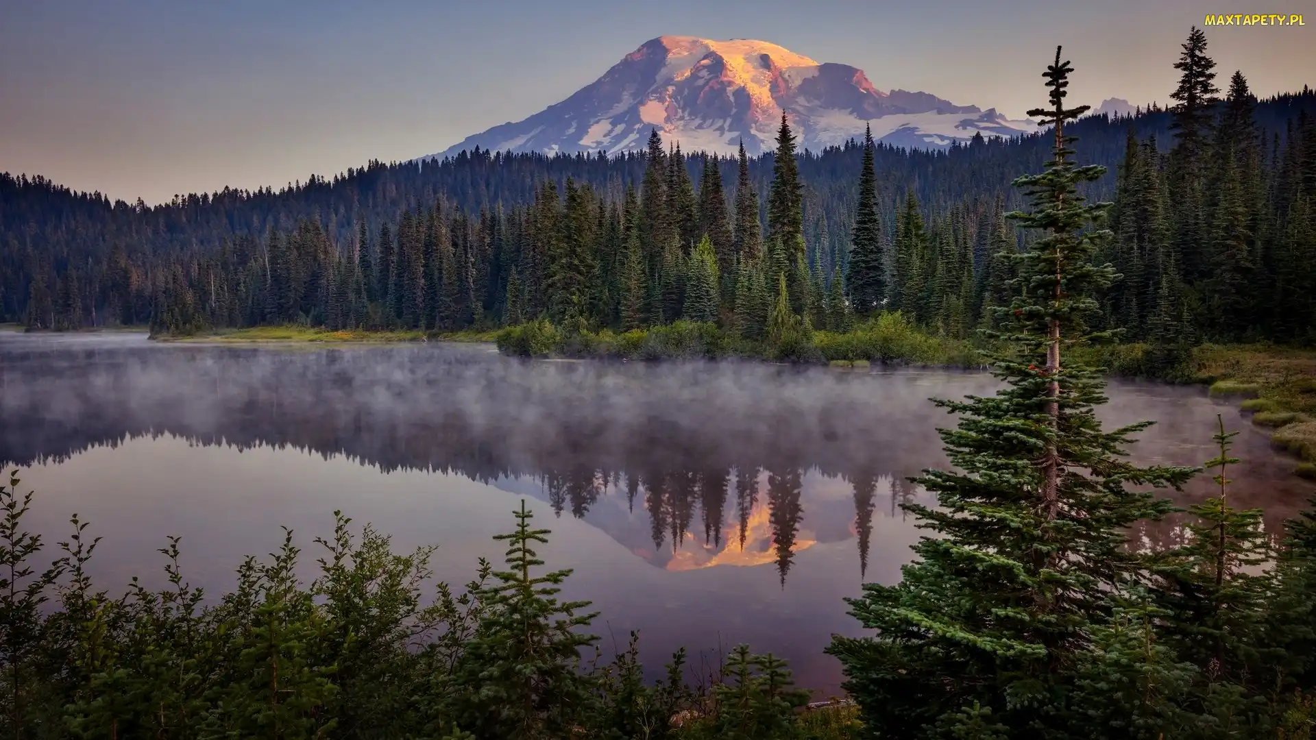 Mgła, Drzewa, Las, Świerki, Góra, Jezioro Reflection Lakes, Szczyt Mount Rainier, Stan Waszyngton, Park Narodowy Mount Rainier, Stany Zjednoczone