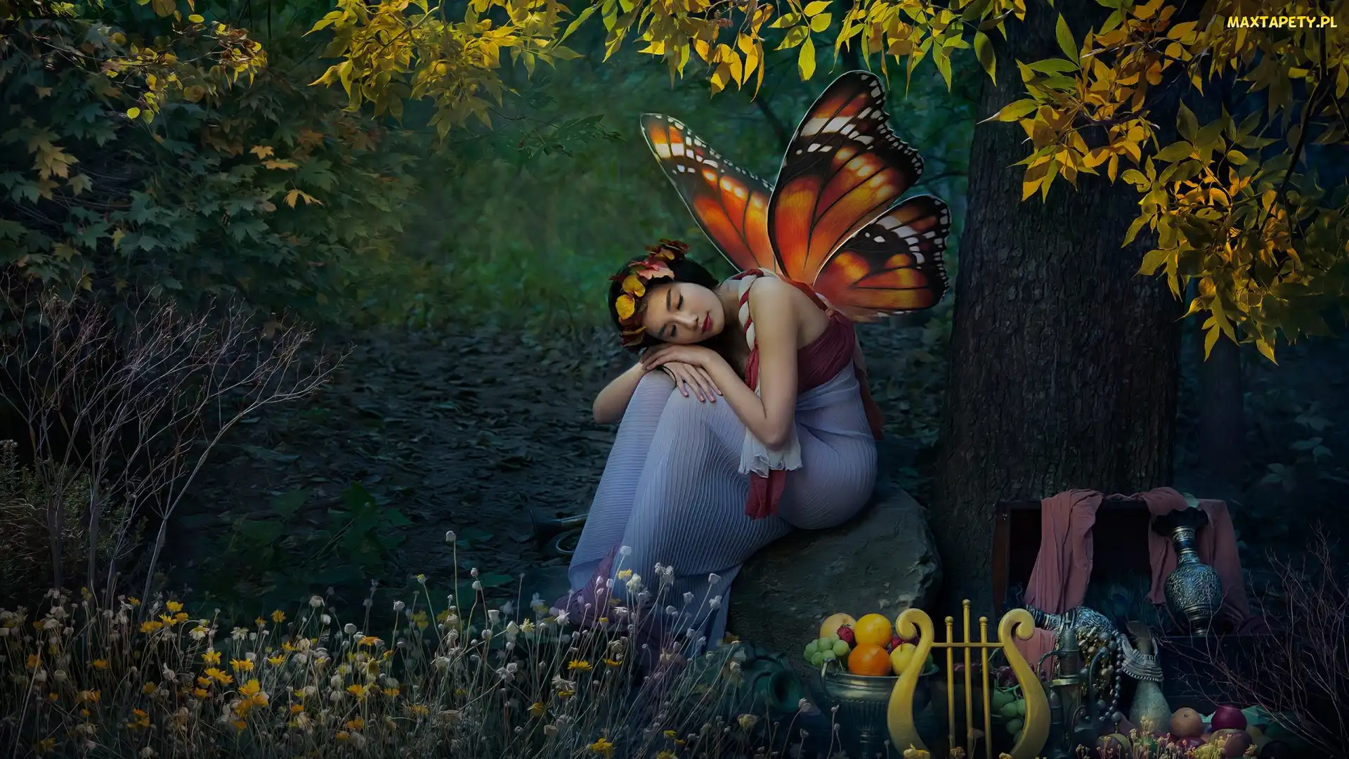 Motyl, Las, Owoce, Fantasy, Skrzydła, Lira, Dziewczyna