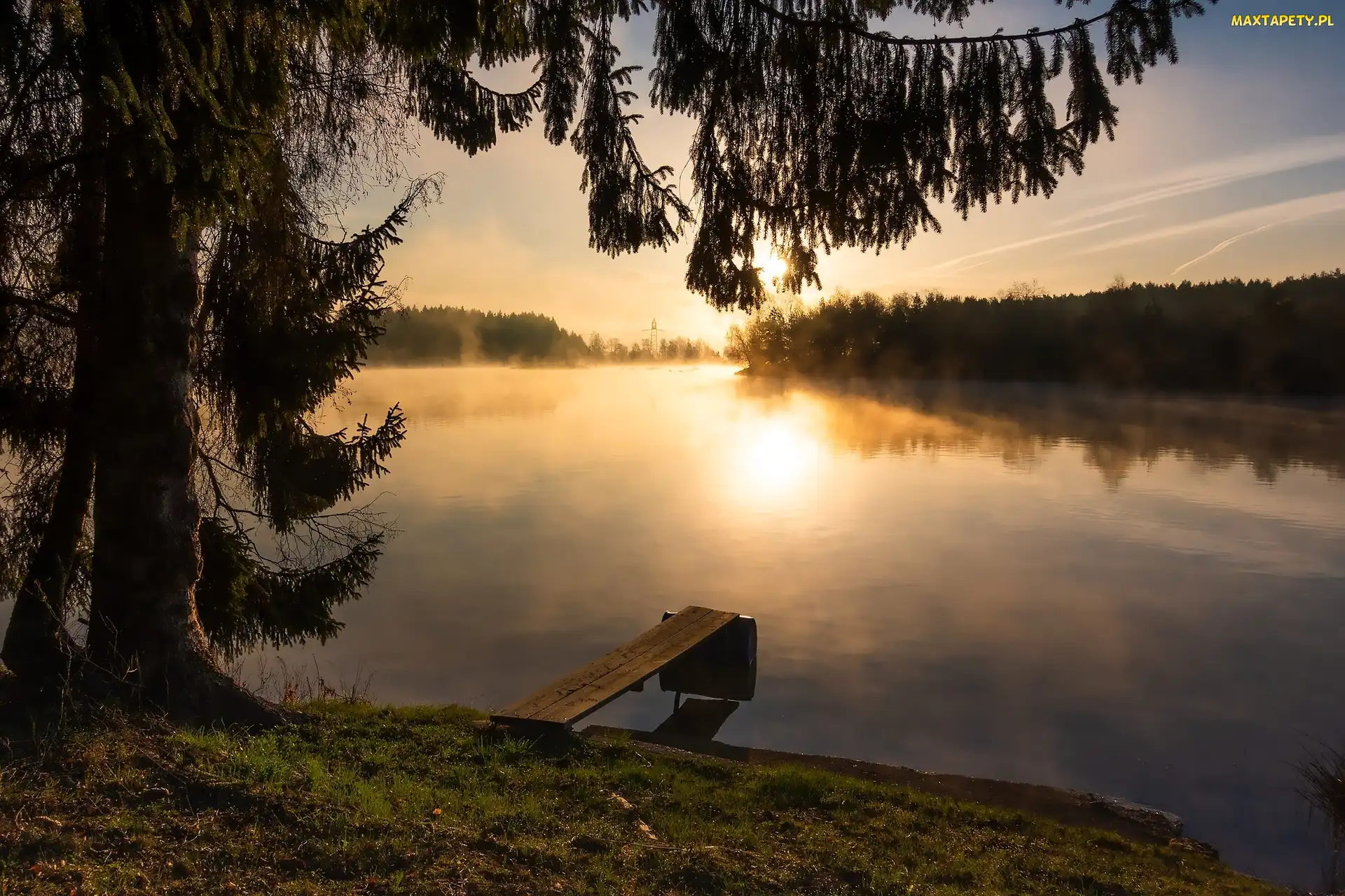 Pomost, Wschód słońca, Hufingen, Drzewa, Niemcy, Jezioro Riedsee, Badenia-Wirtembergia