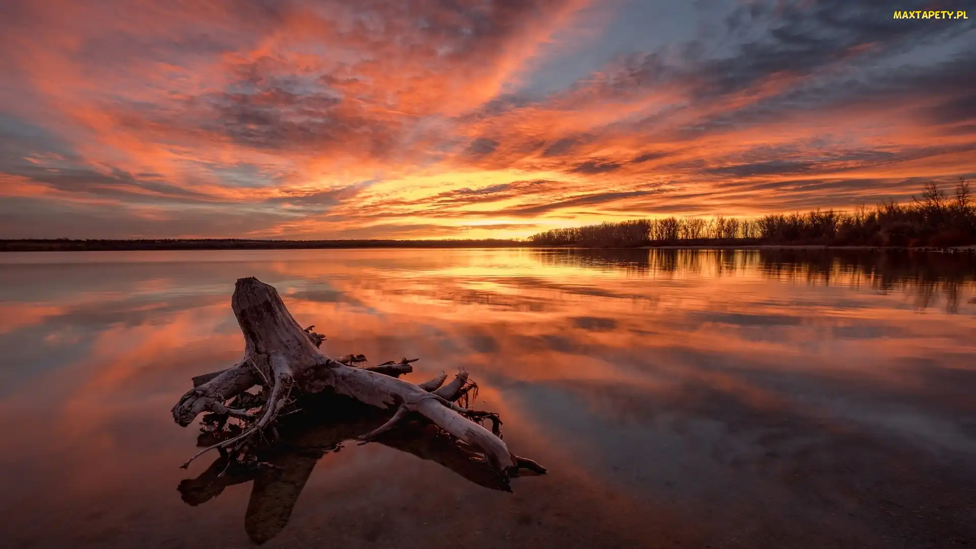 Jezioro, Stany Zjednoczone, Park Stanowy Cherry Creek, Kolorado, Zachód słońca, Miasto Aurora, Chmury, Konar
