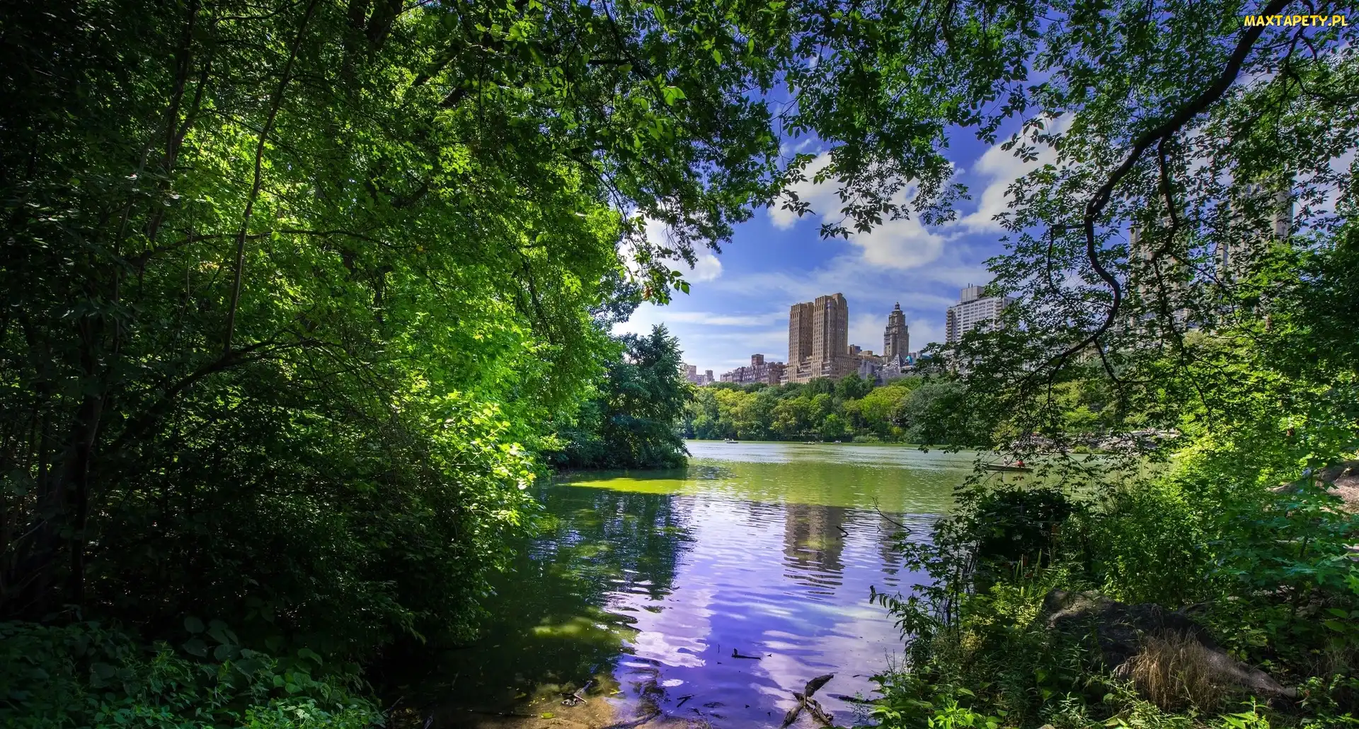 Drapacze chmur, Jezioro, Nowy Jork, Drzewa, Park miejski Central Park, Stany Zjednoczone, Dzielnica Manhattan