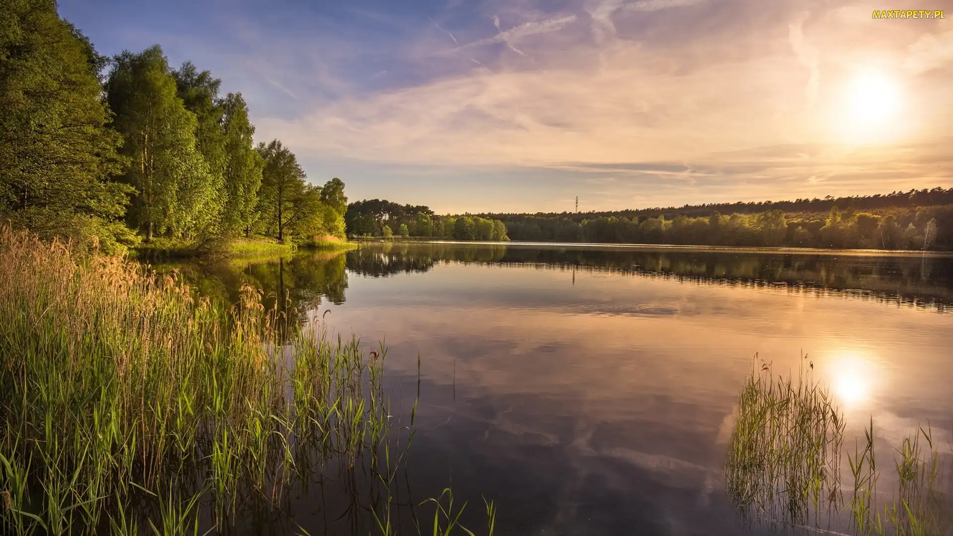 Jezioro, Odbicie, Drzewa, Trawy, Wschód słońca