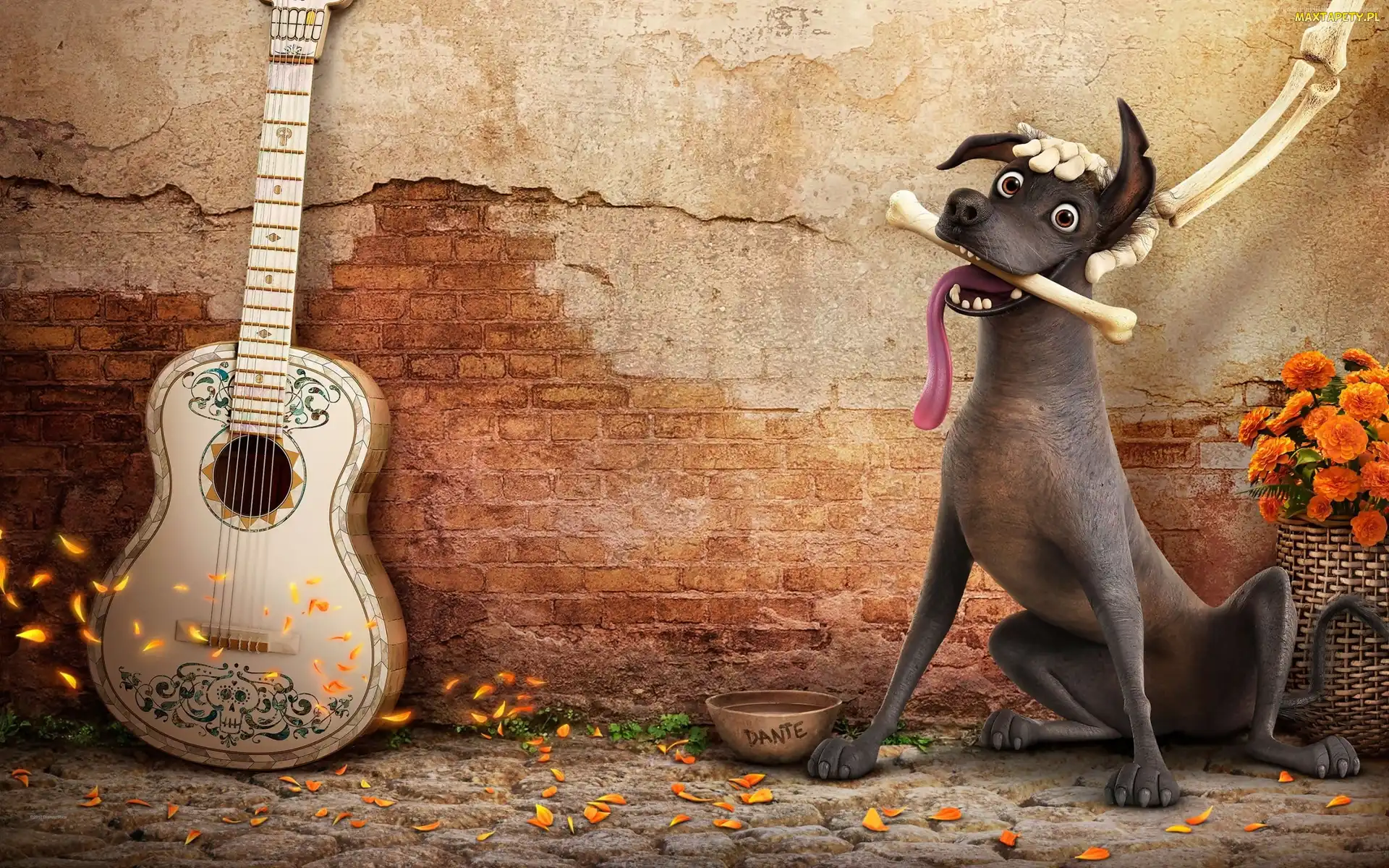 Gitara, Pies Dante, Coco, Film animowany