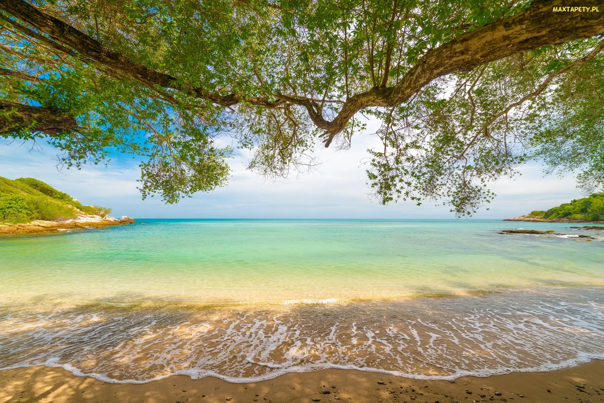 Drzewa, Piasek, Morze, Plaża