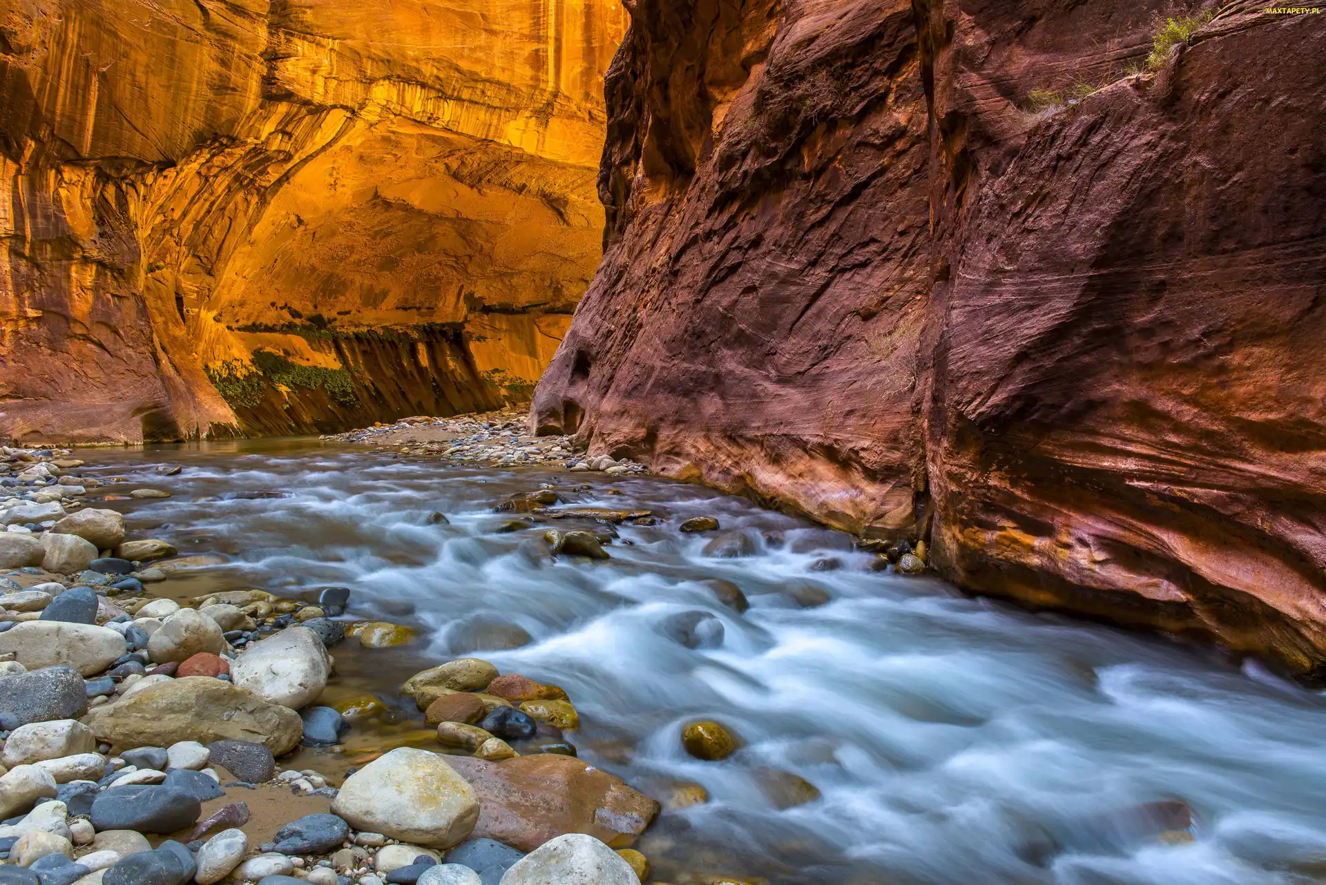 Rzeka Virgin River, Skały, Stan Utah, Stany Zjednoczone, Park Narodowy Zion, Kanion Zion Narrows
