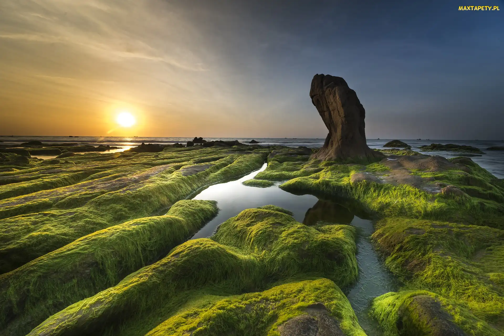 Wietnam, Plaża Nam O Beach, Zachód słońca, Prowincja Da Nang, Kamienie, Skały, Wodorosty, Mech, Morze, Roślinność